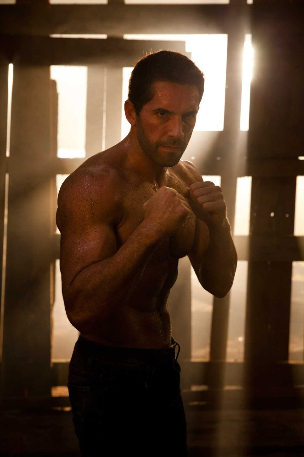 Scott Adkins Images Wallpapers