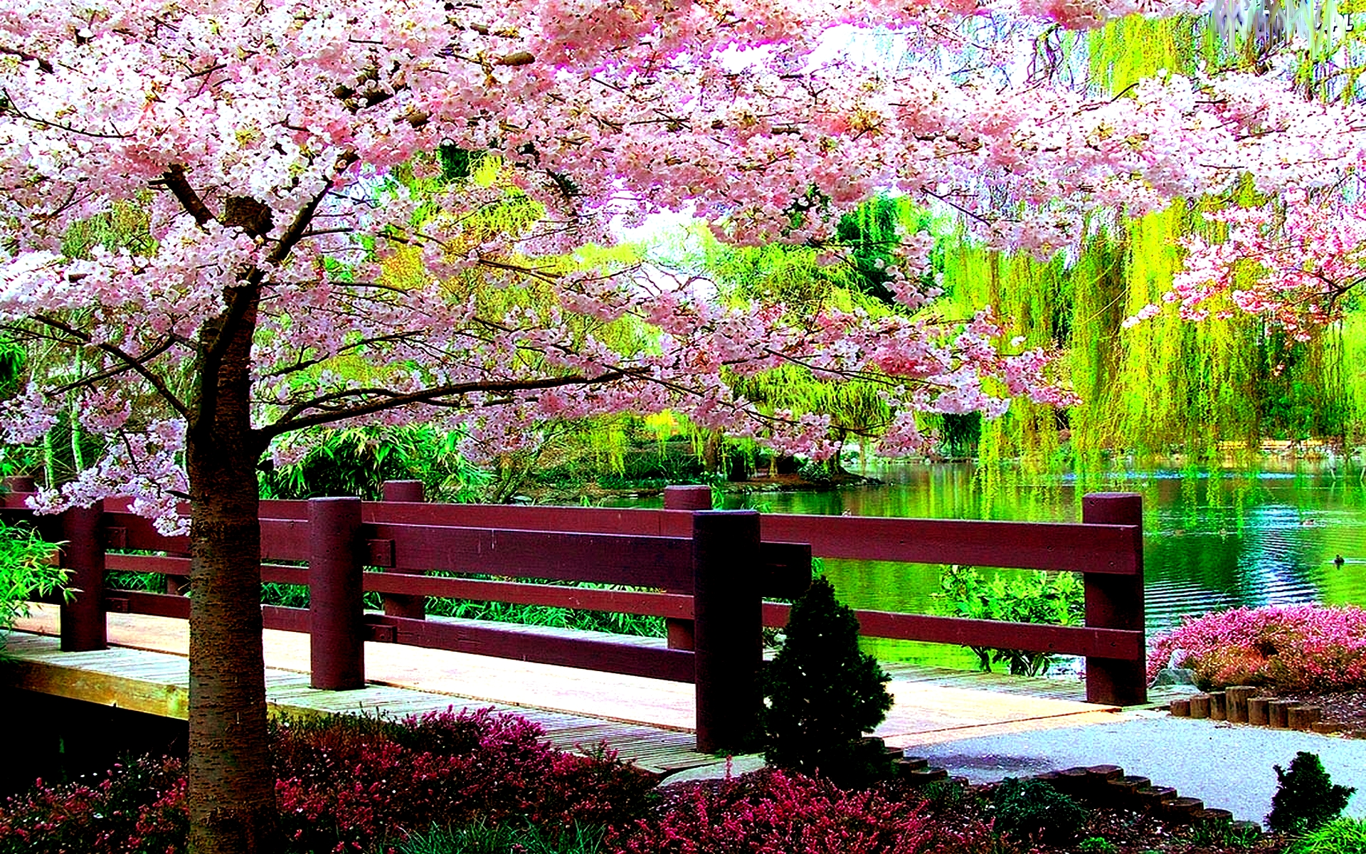 Screensavers Spring Scenes Wallpapers