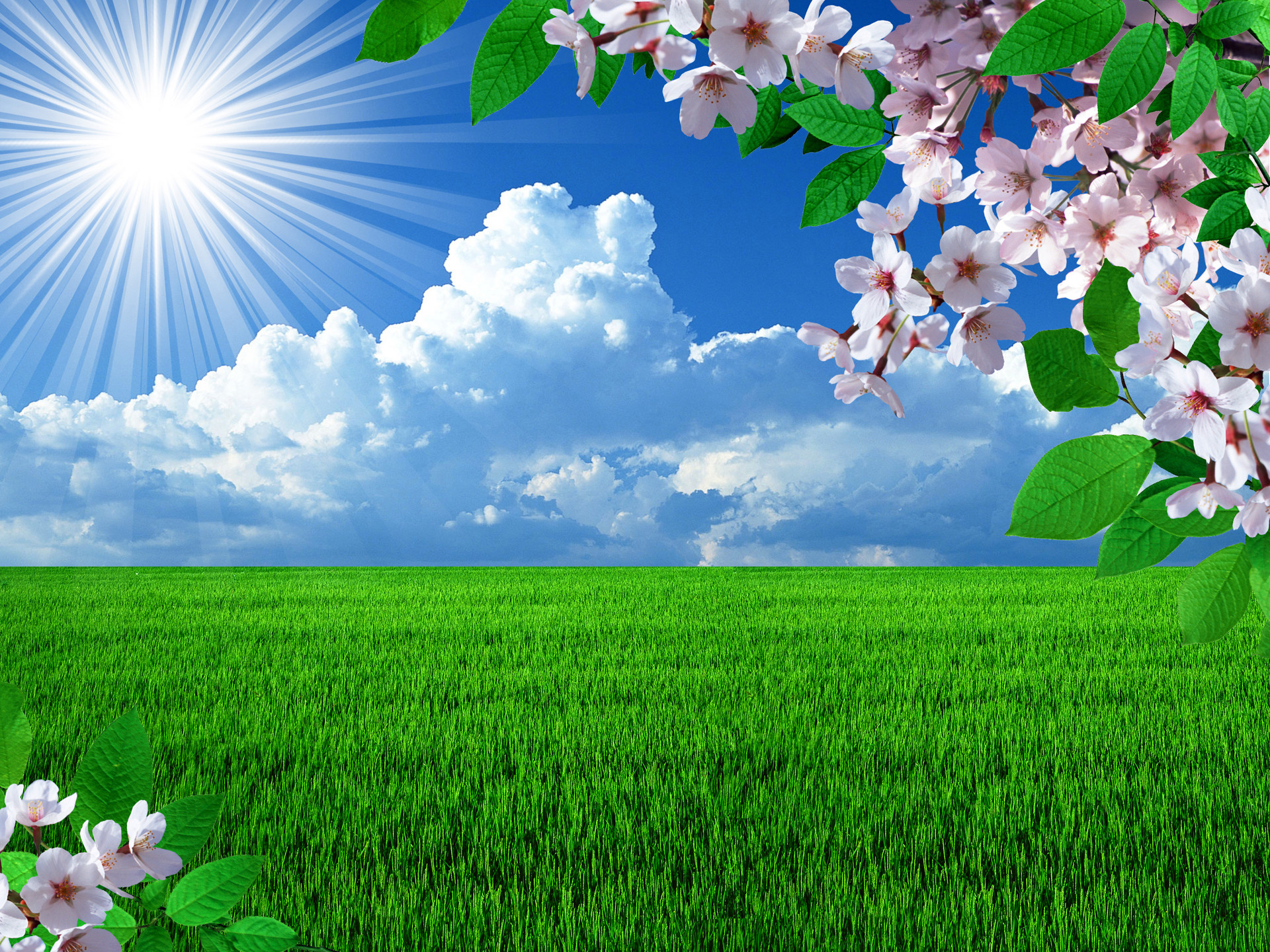 Screensavers Spring Scenes Wallpapers