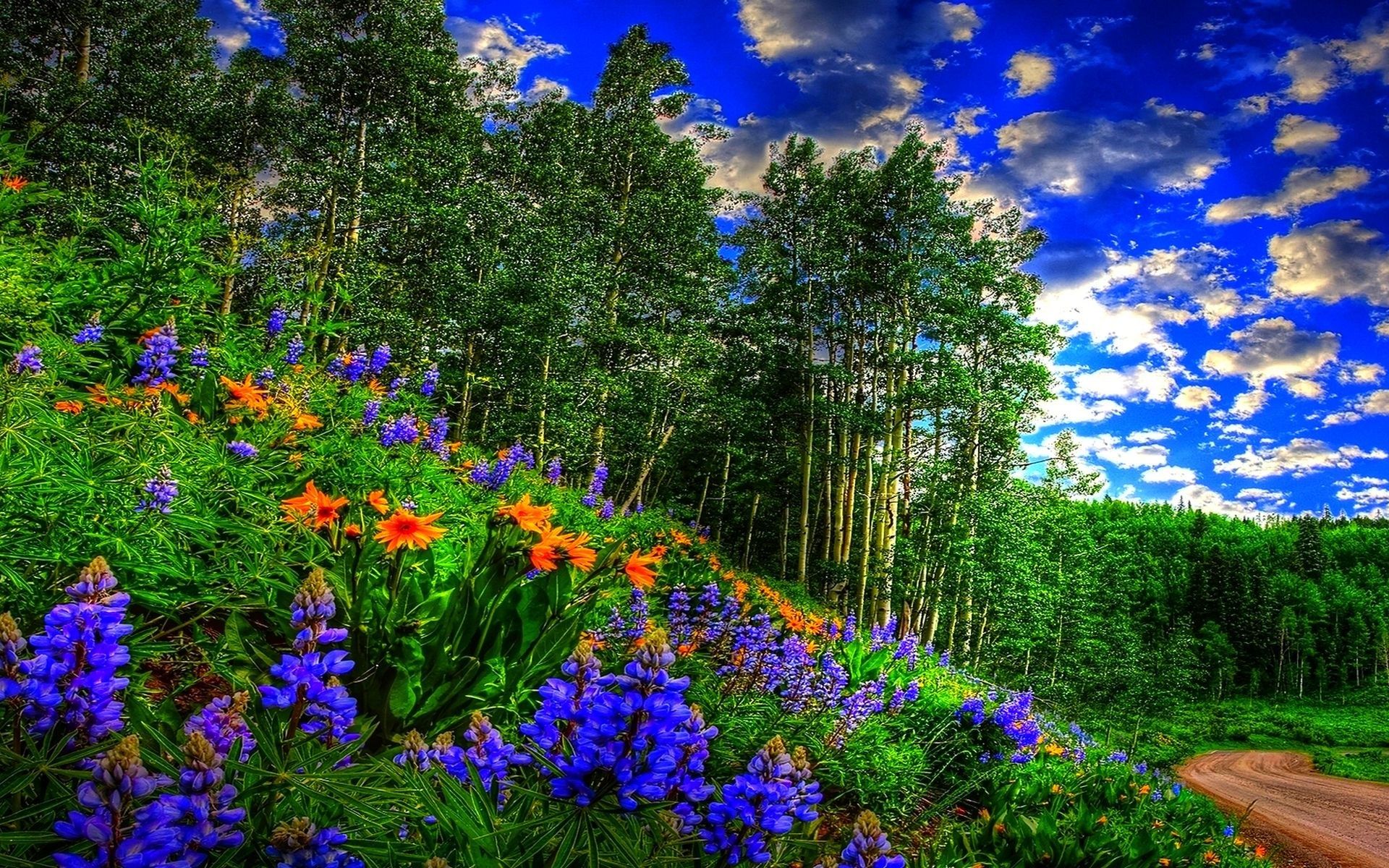 Screensavers Spring Scenes Wallpapers