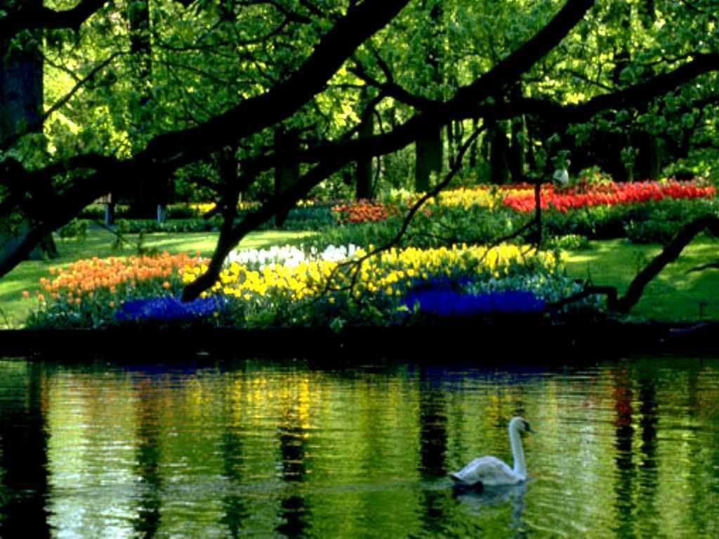 Screensavers Spring Scenes Wallpapers