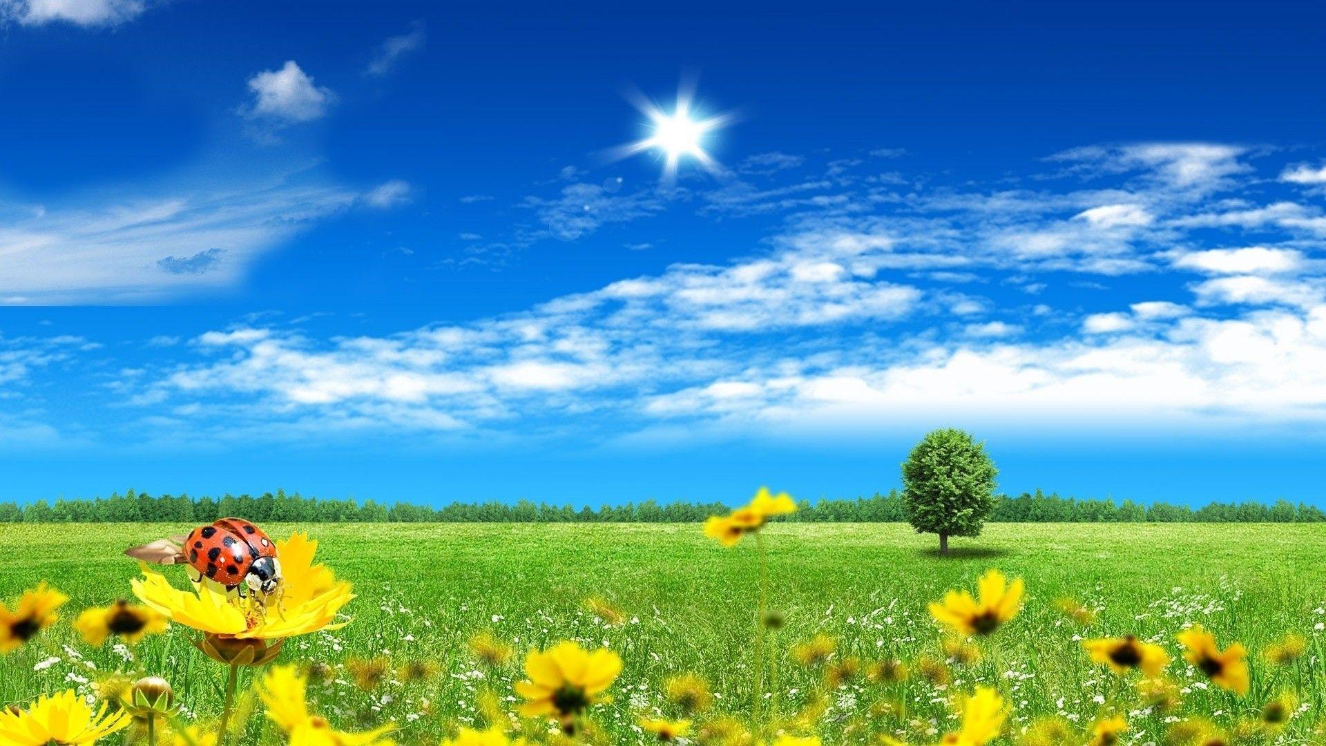 Screensavers Spring Scenes Wallpapers