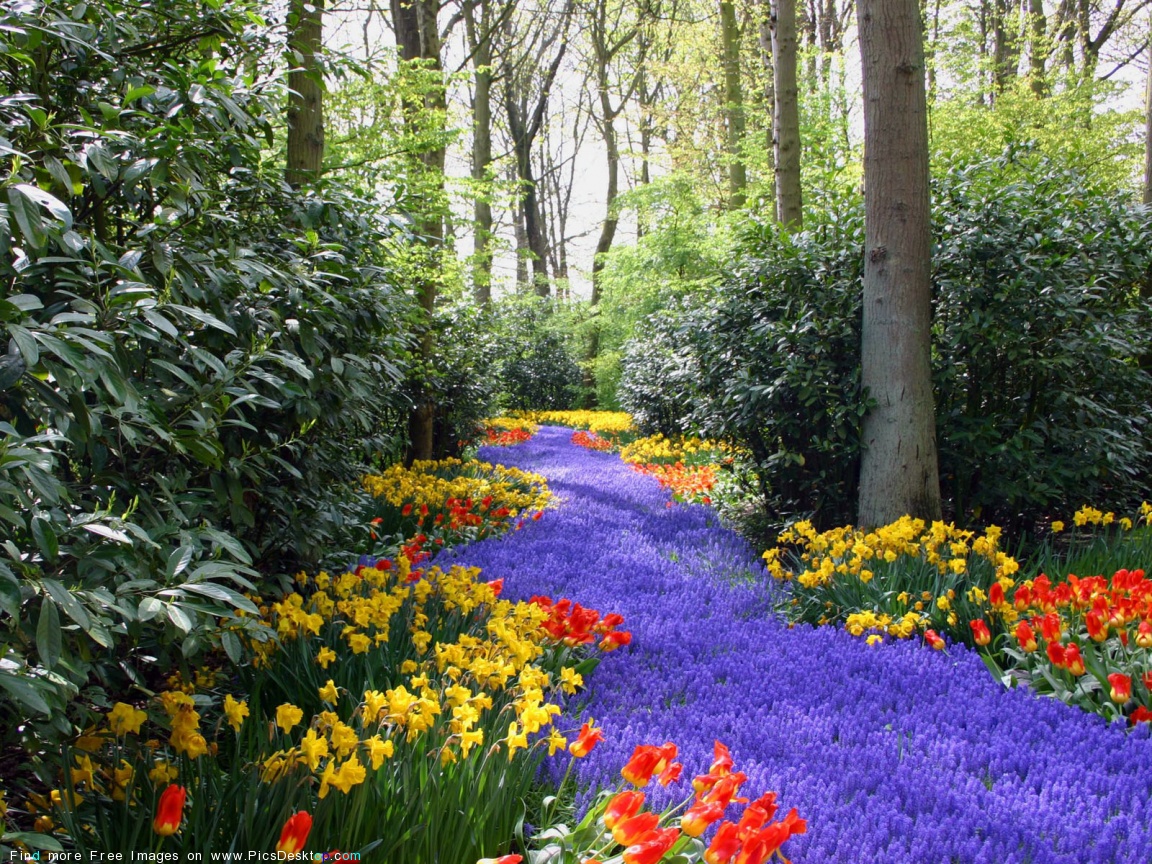 Screensavers Spring Scenes Wallpapers