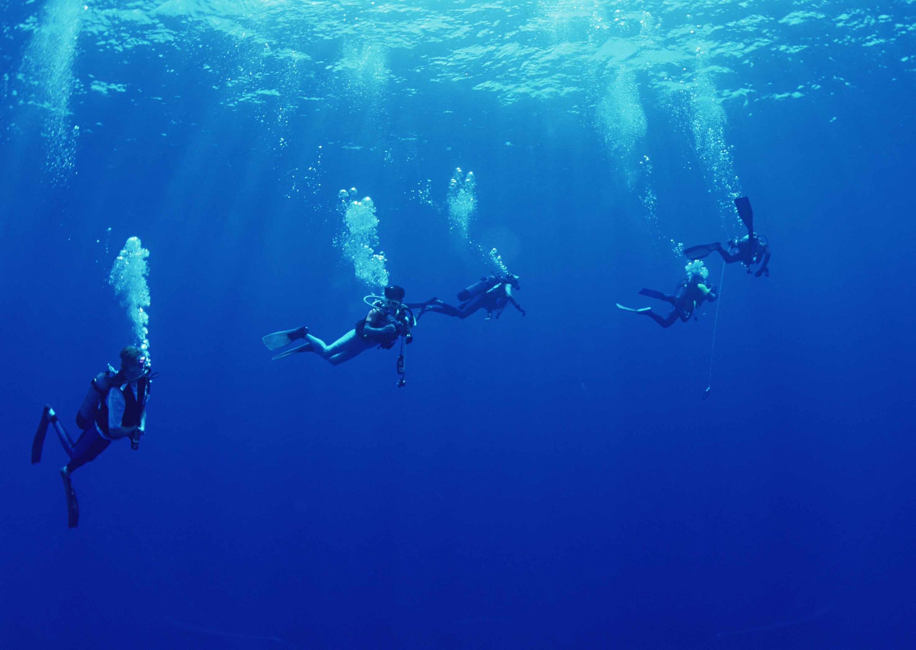 Scuba Dive Wallpapers