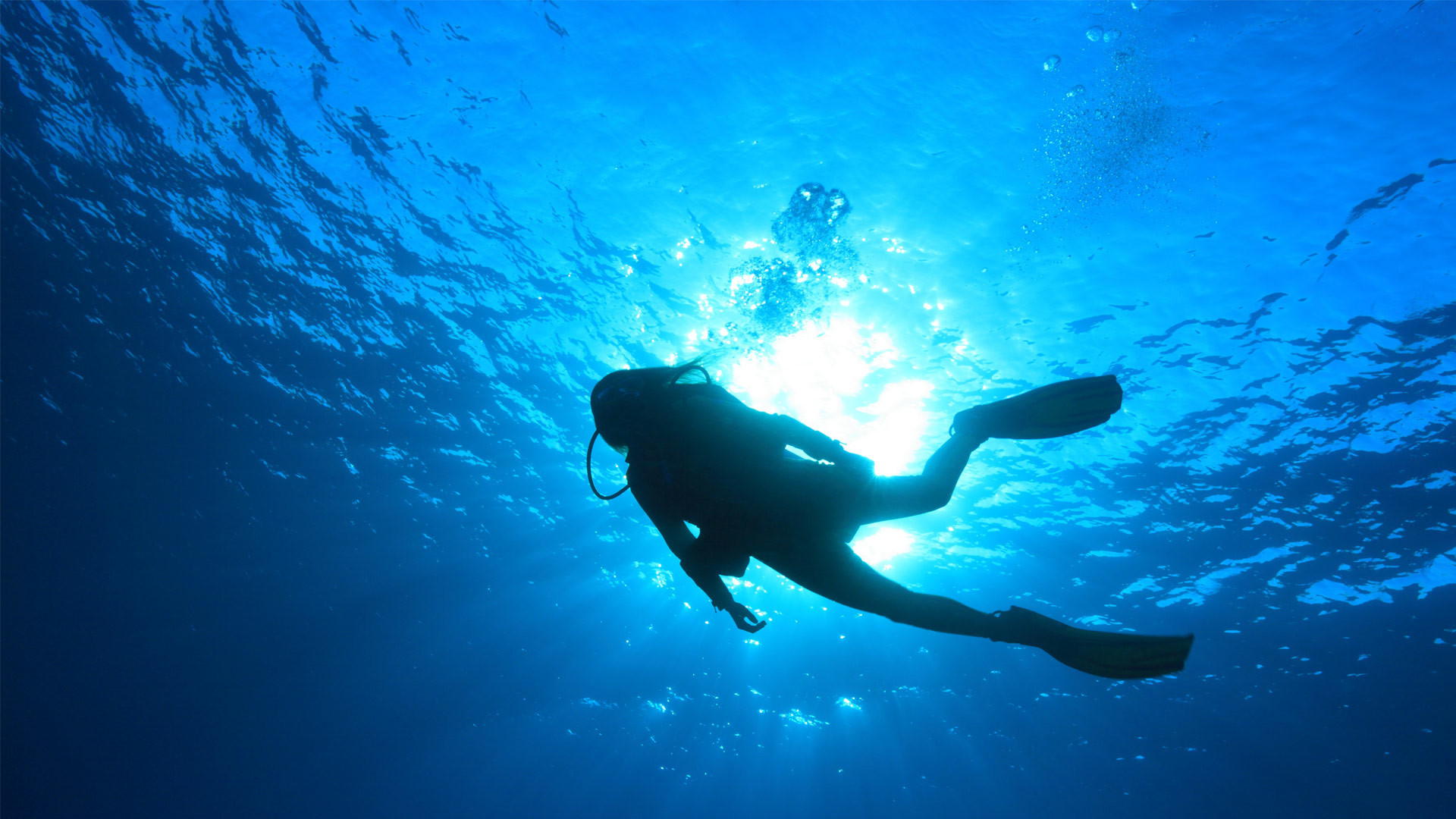 Scuba Diving Wallpapers