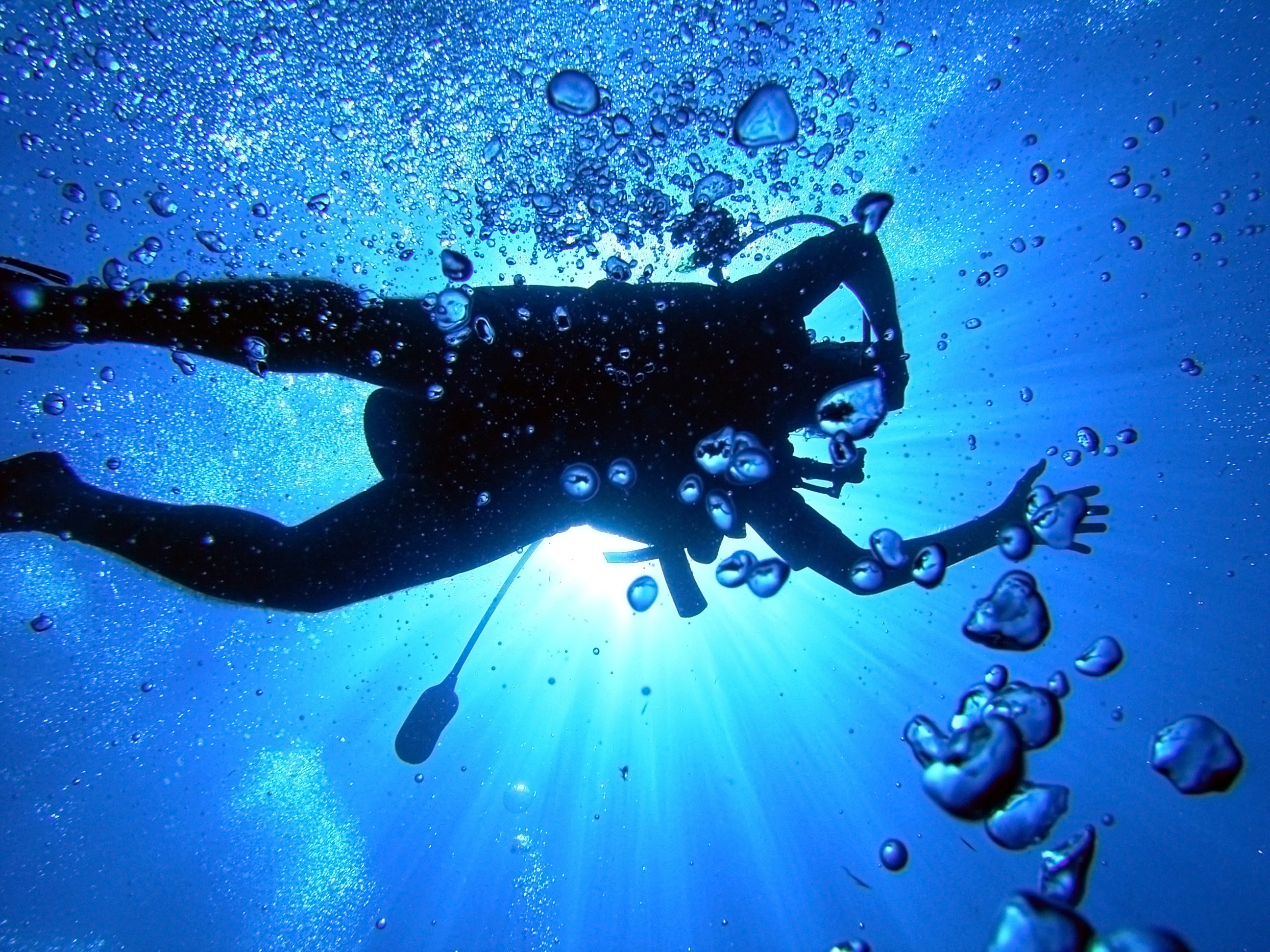 Scuba Diving Wallpapers