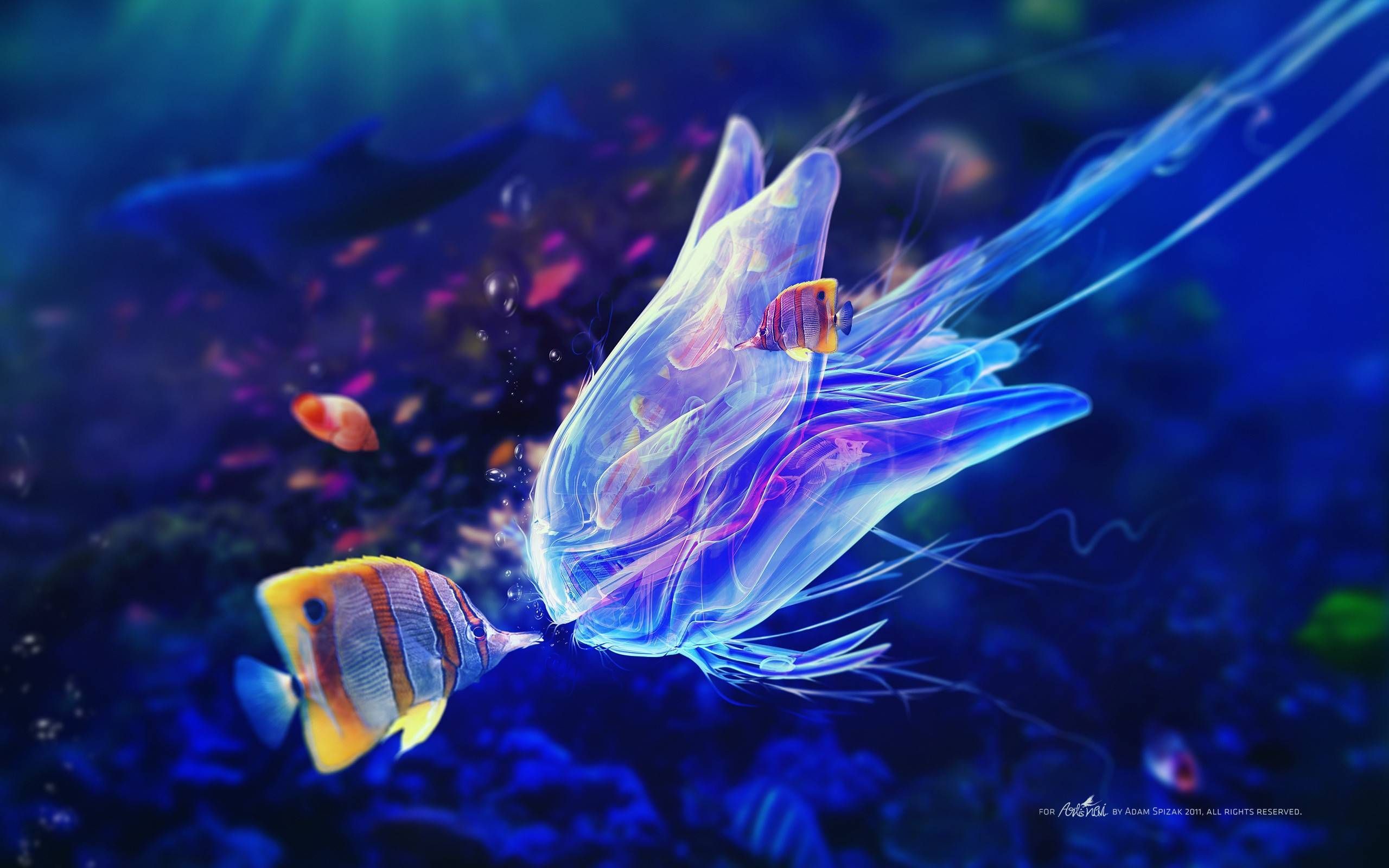 Sea Life Live Wallpapers