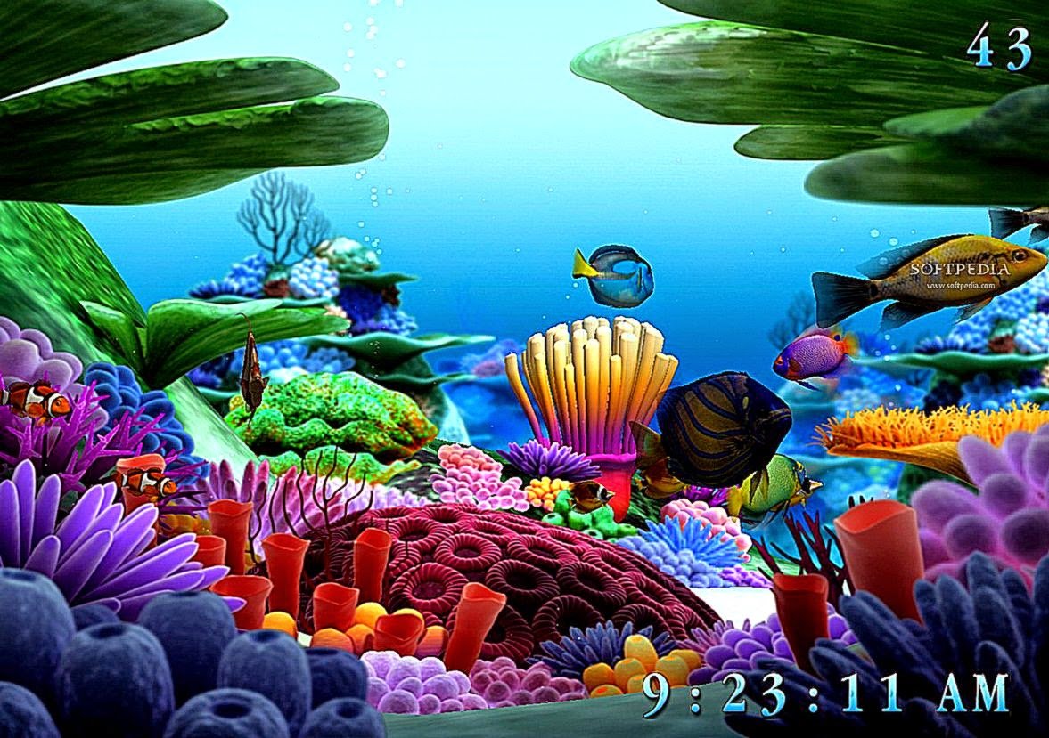 Sea Life Wallpapers