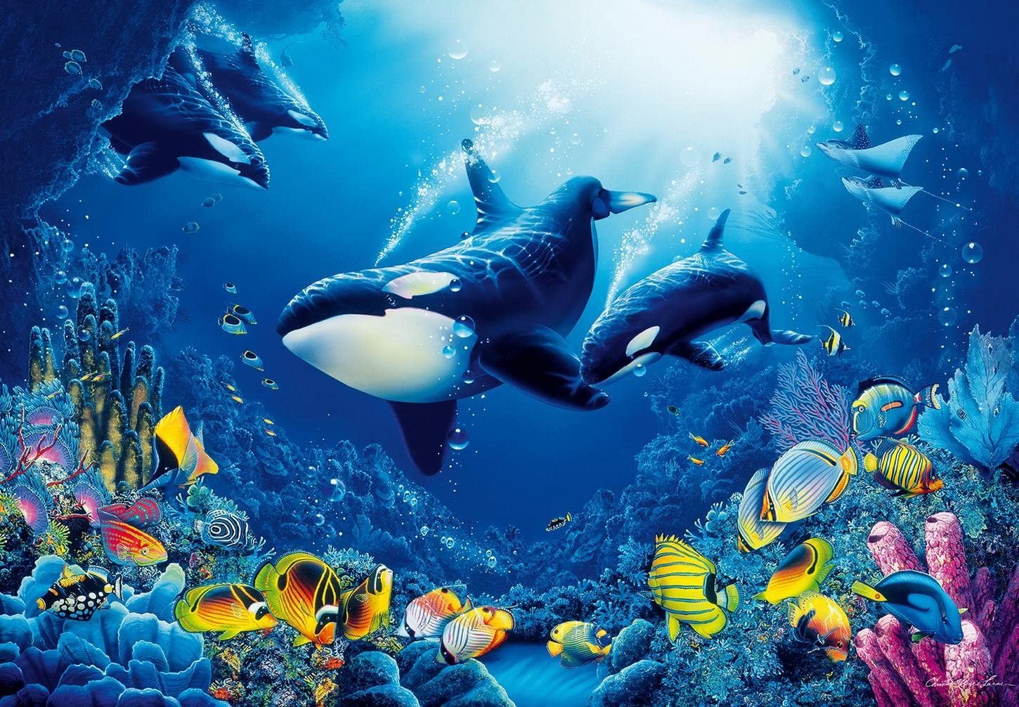 Sea Life Wallpapers