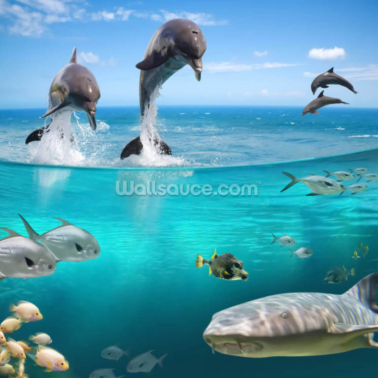 Sea Life Wallpapers