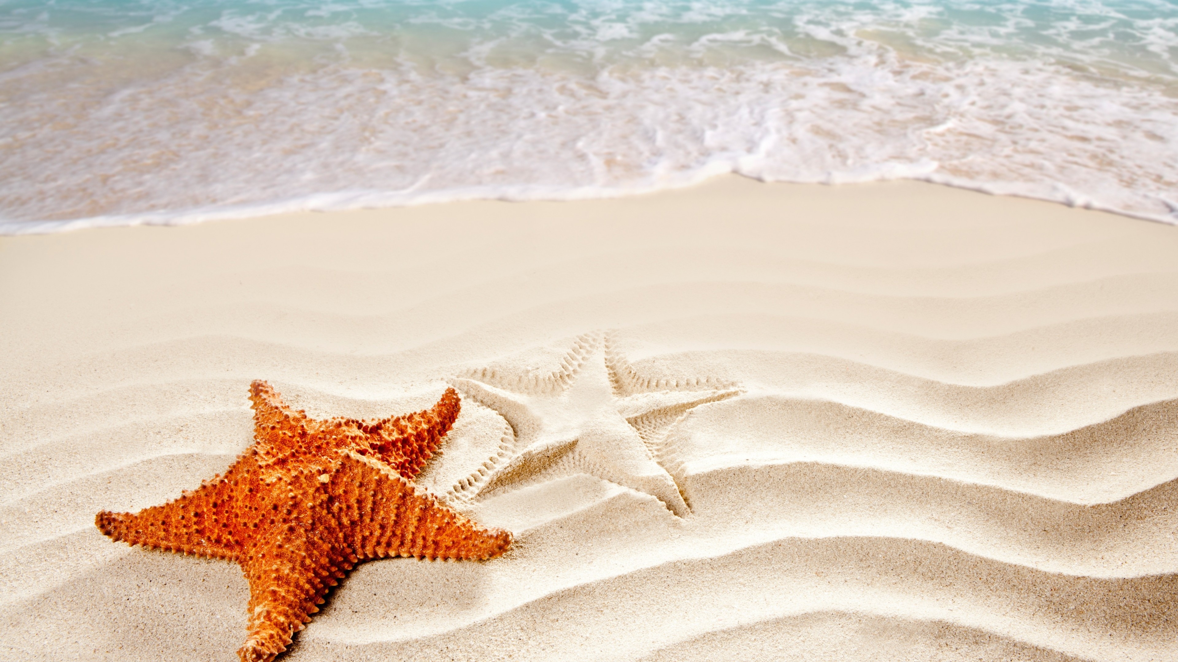 Sea Star Wallpapers