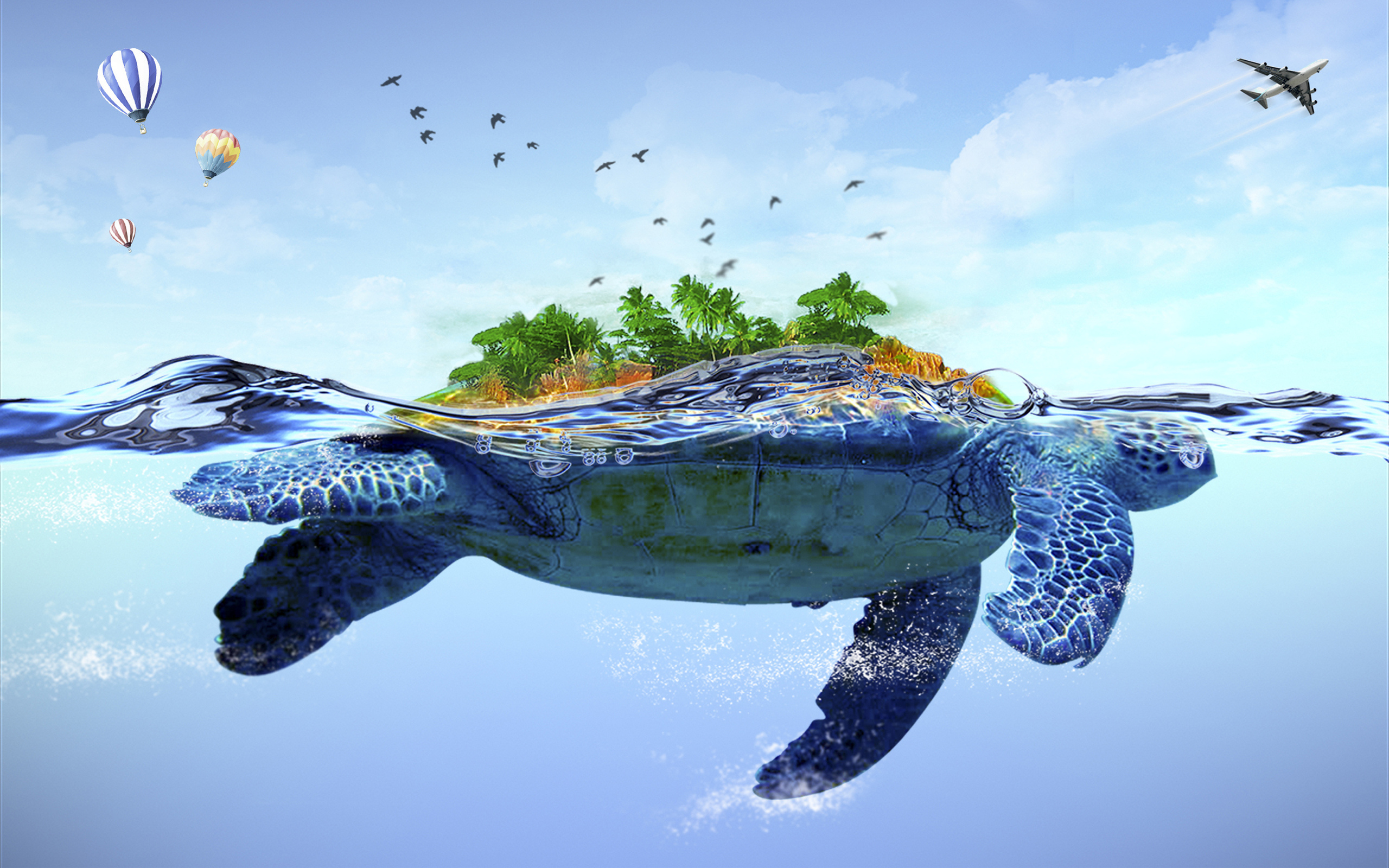 Sea Turtle Desktop Background