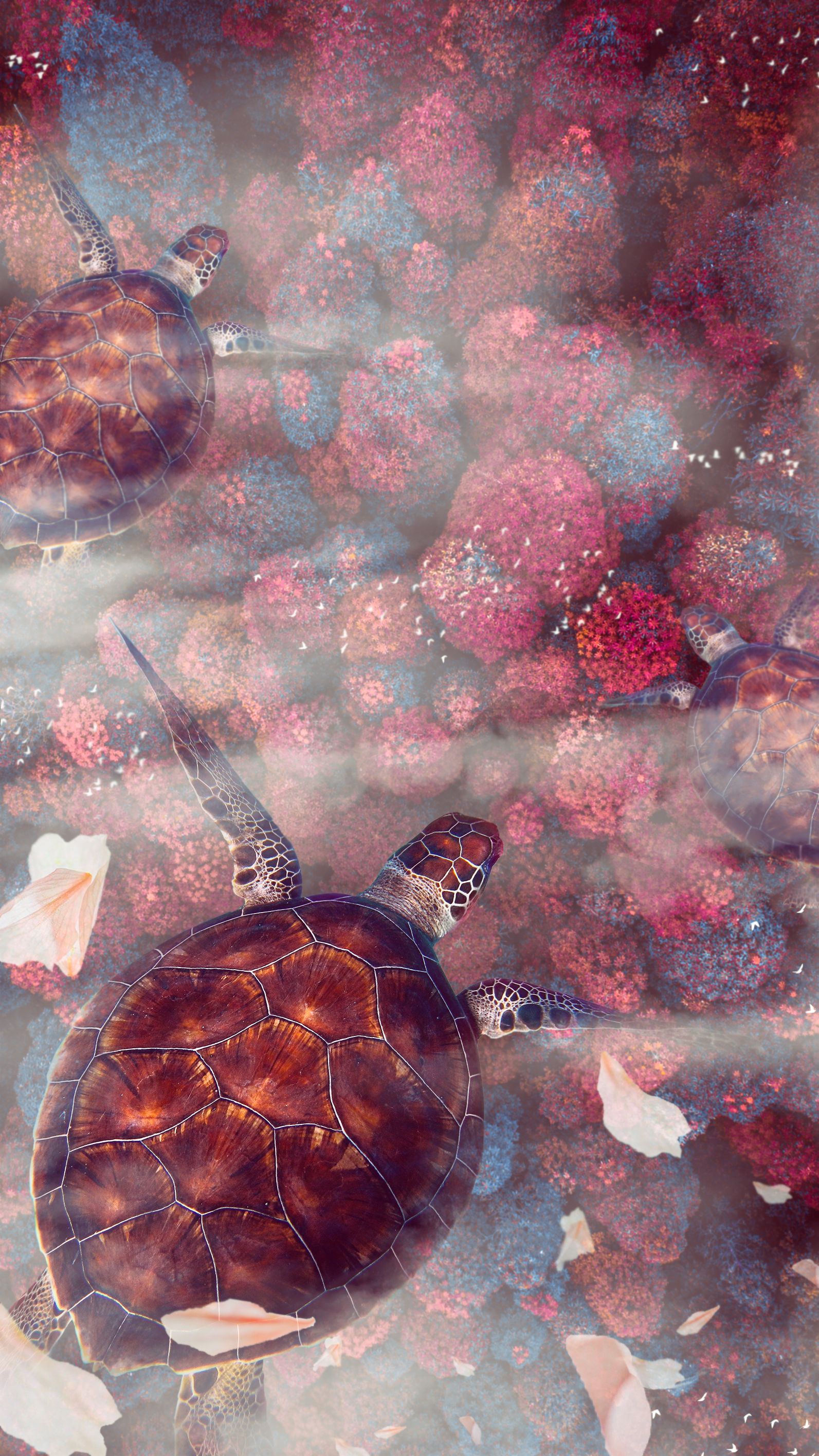 Sea Turtle Phone Wallpapers