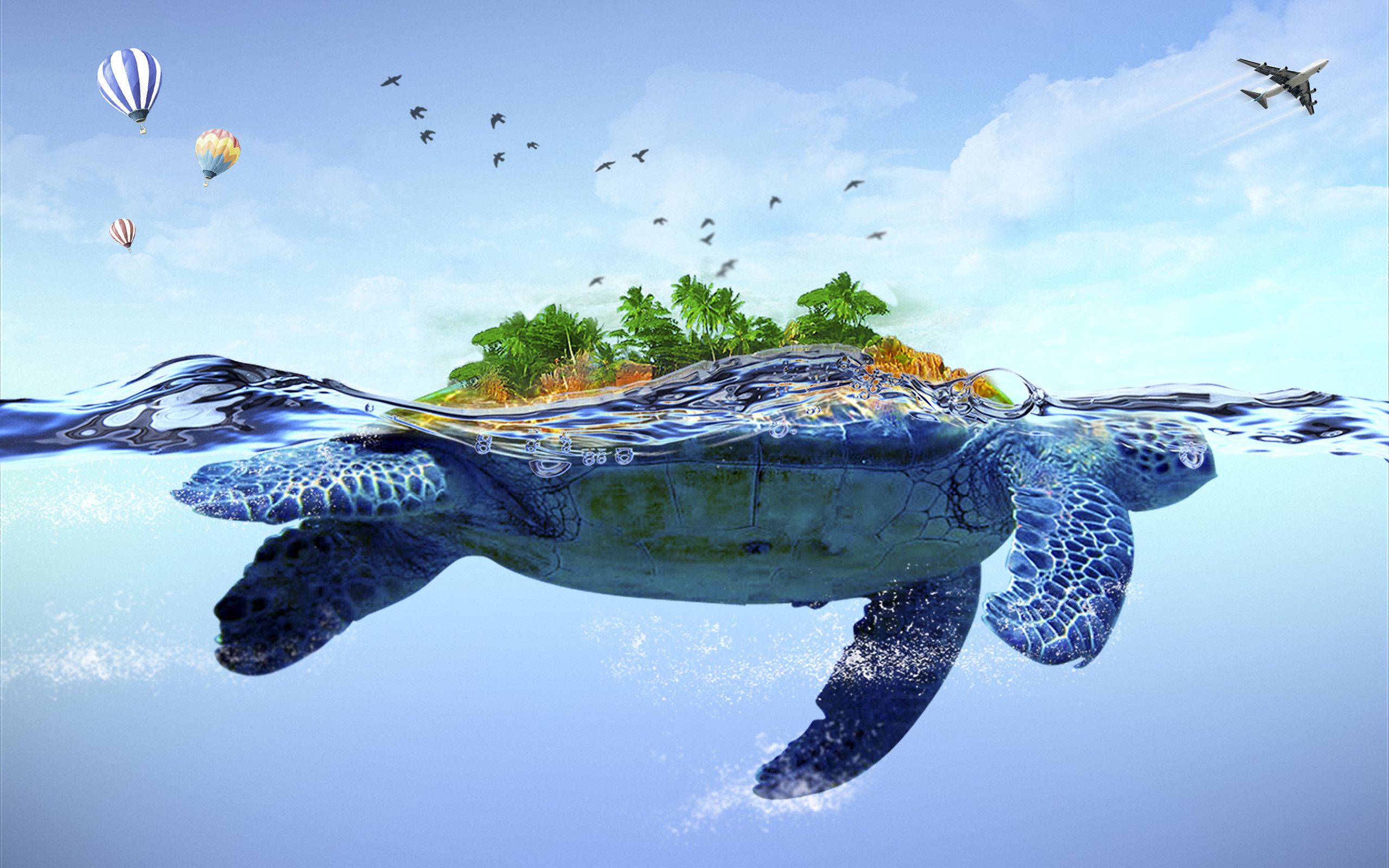 Sea Turtle Wallpapers