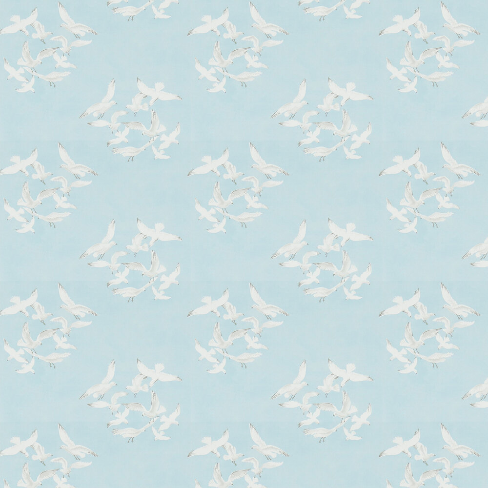 Seagull Wallpapers