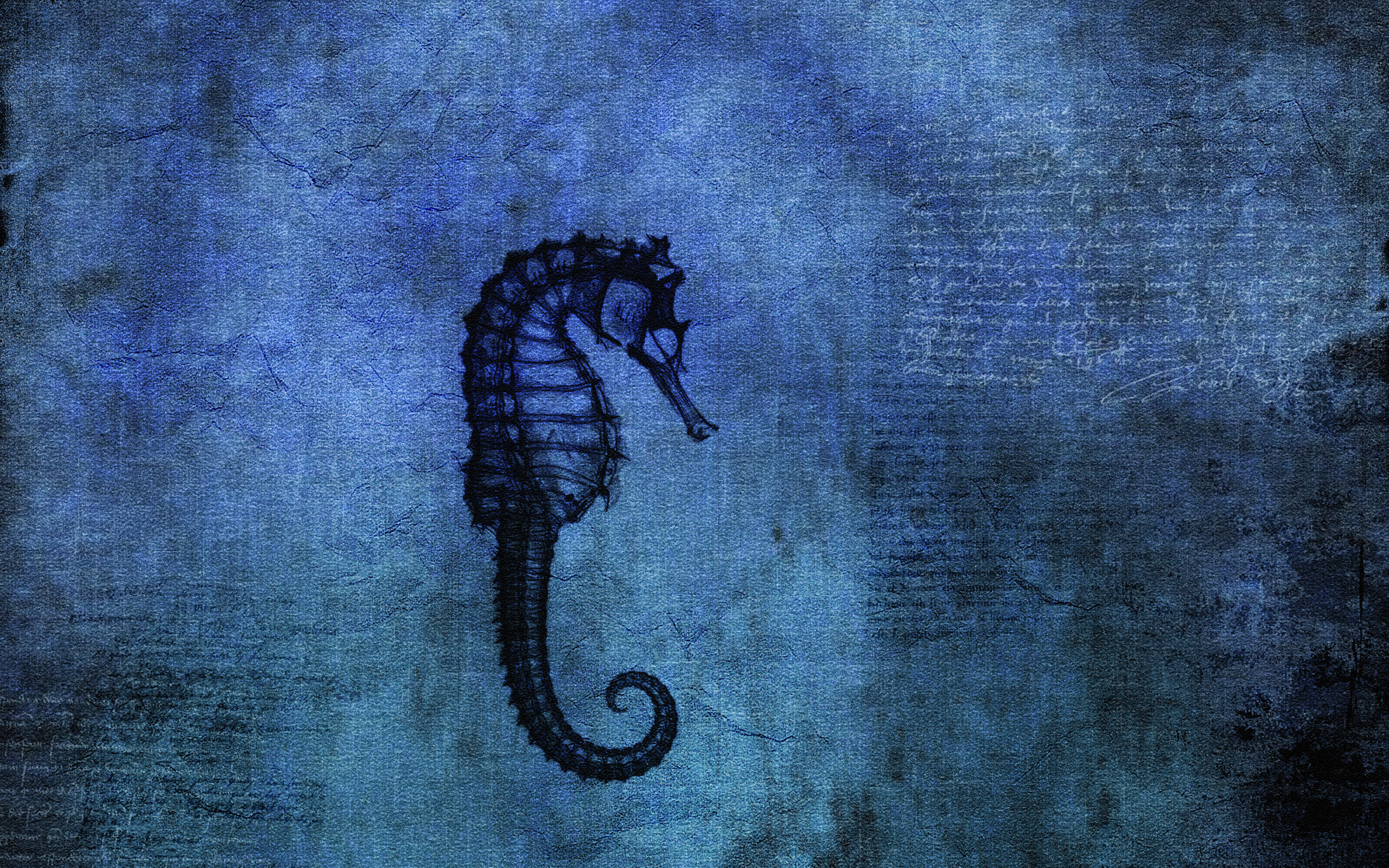 Seahorse Wallpapers