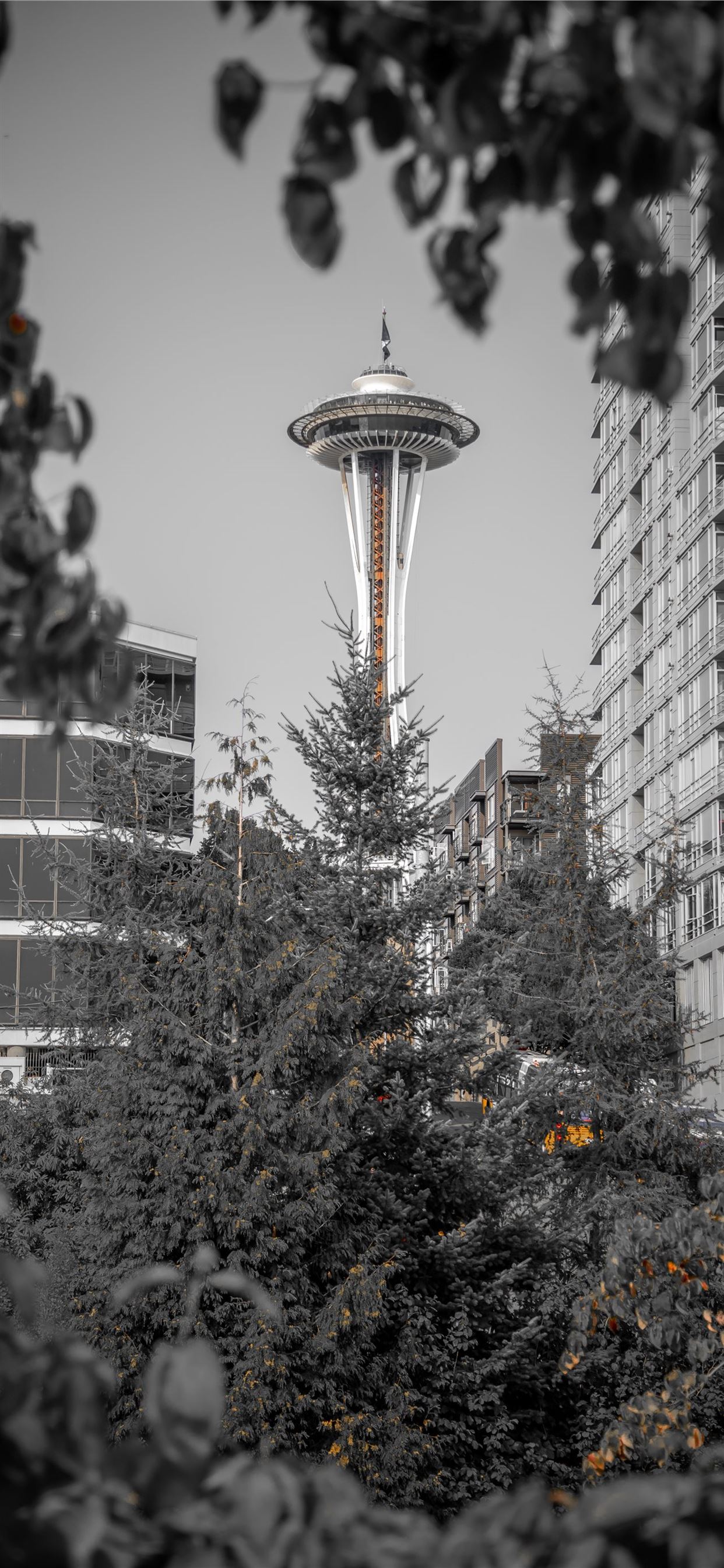 Seattle Black And White Wallpapers