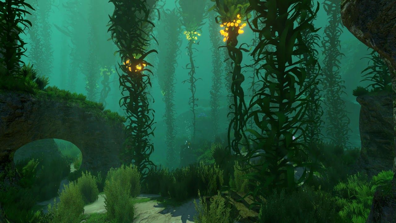 Seaweed Wallpapers