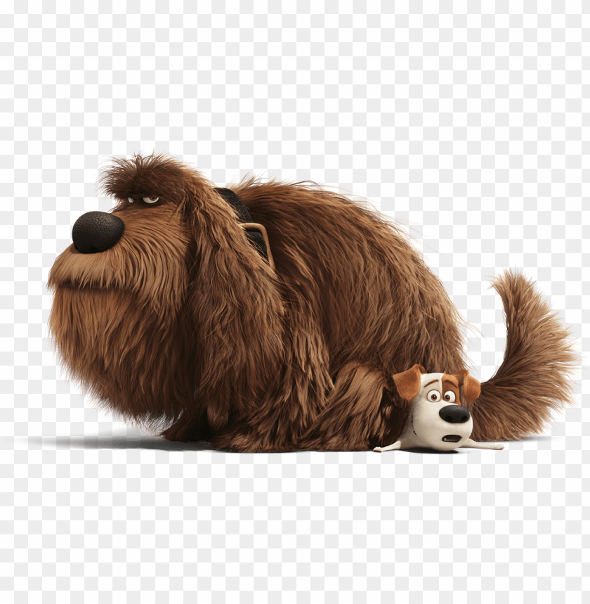 Secret Life Of Pets Background