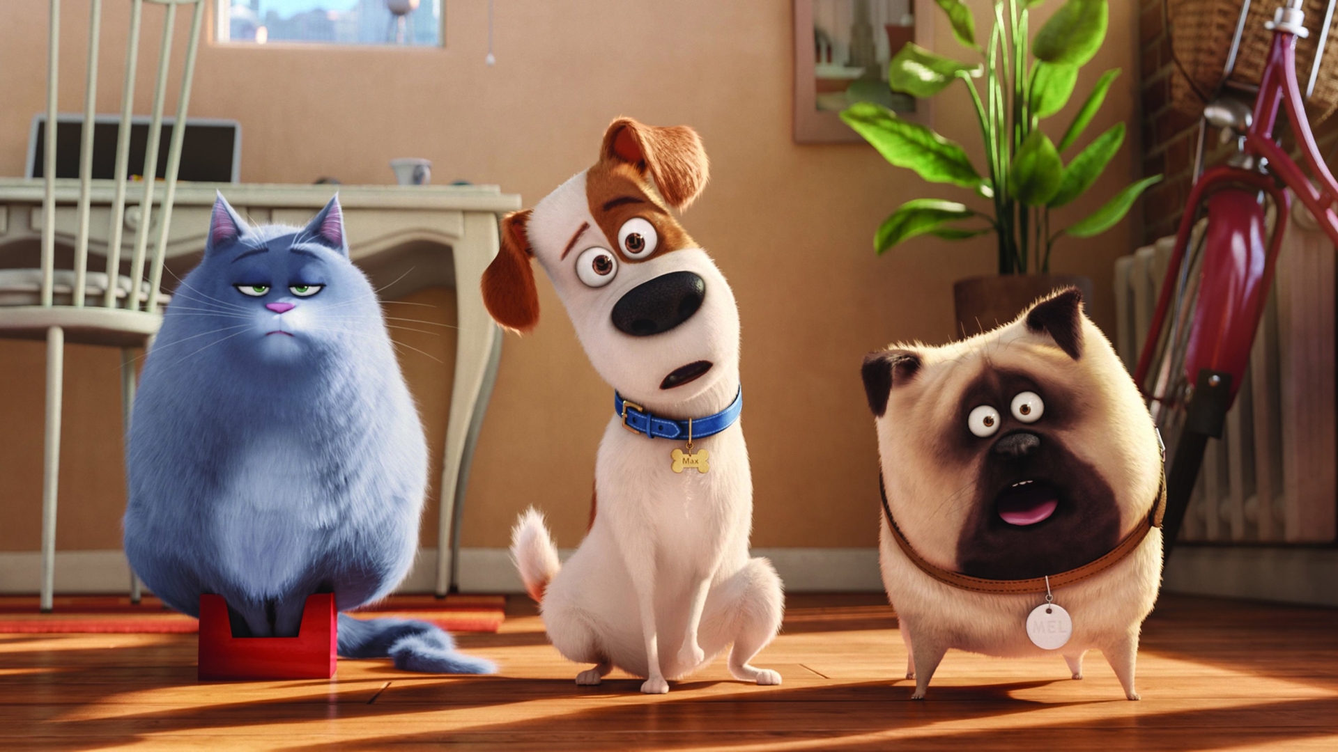 Secret Life Of Pets Background