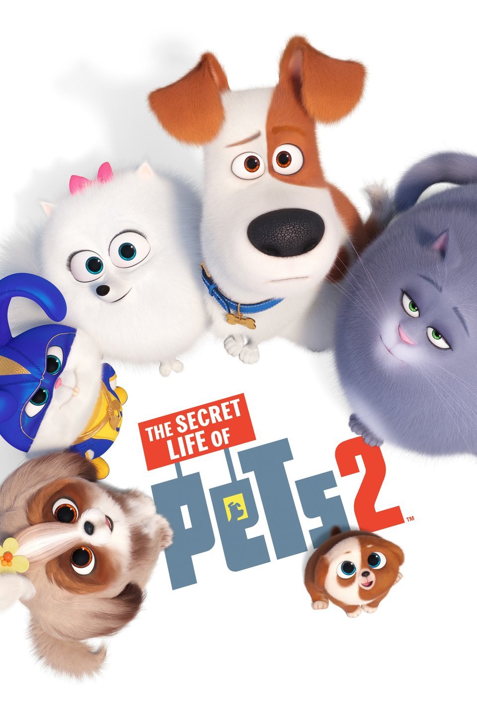 Secret Life Of Pets Background