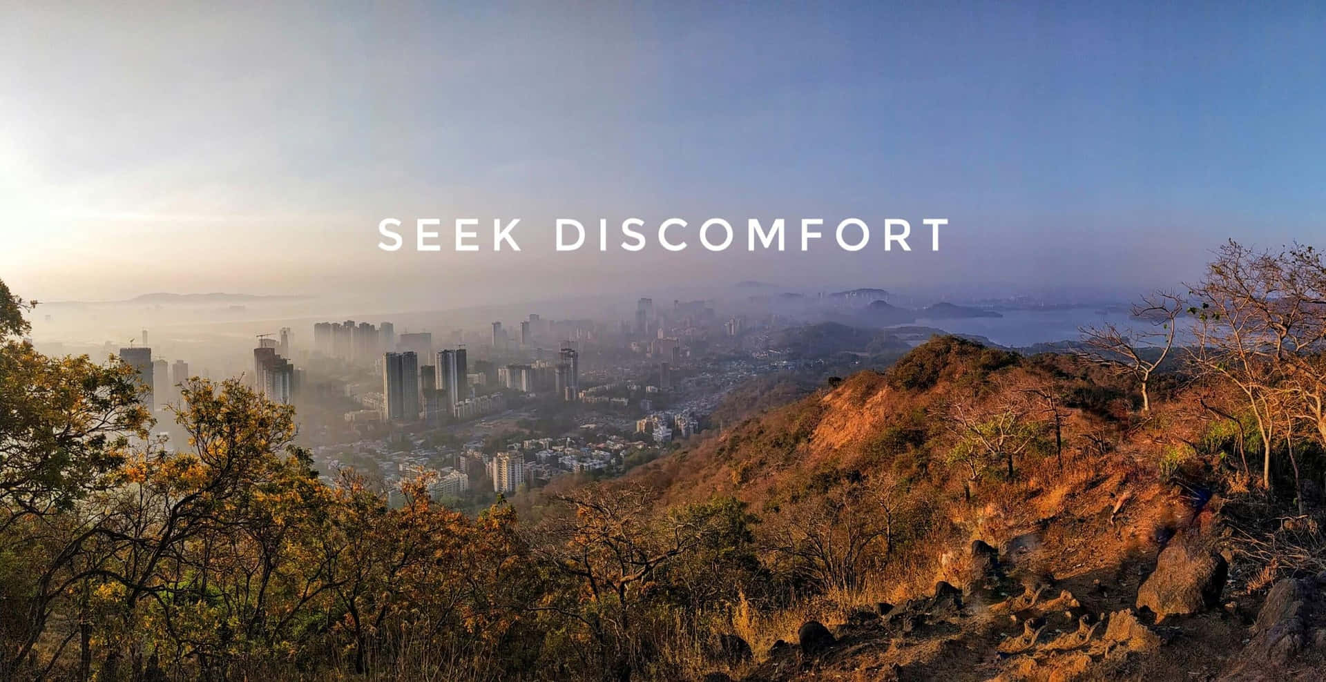 Seek Discomfort Wallpapers