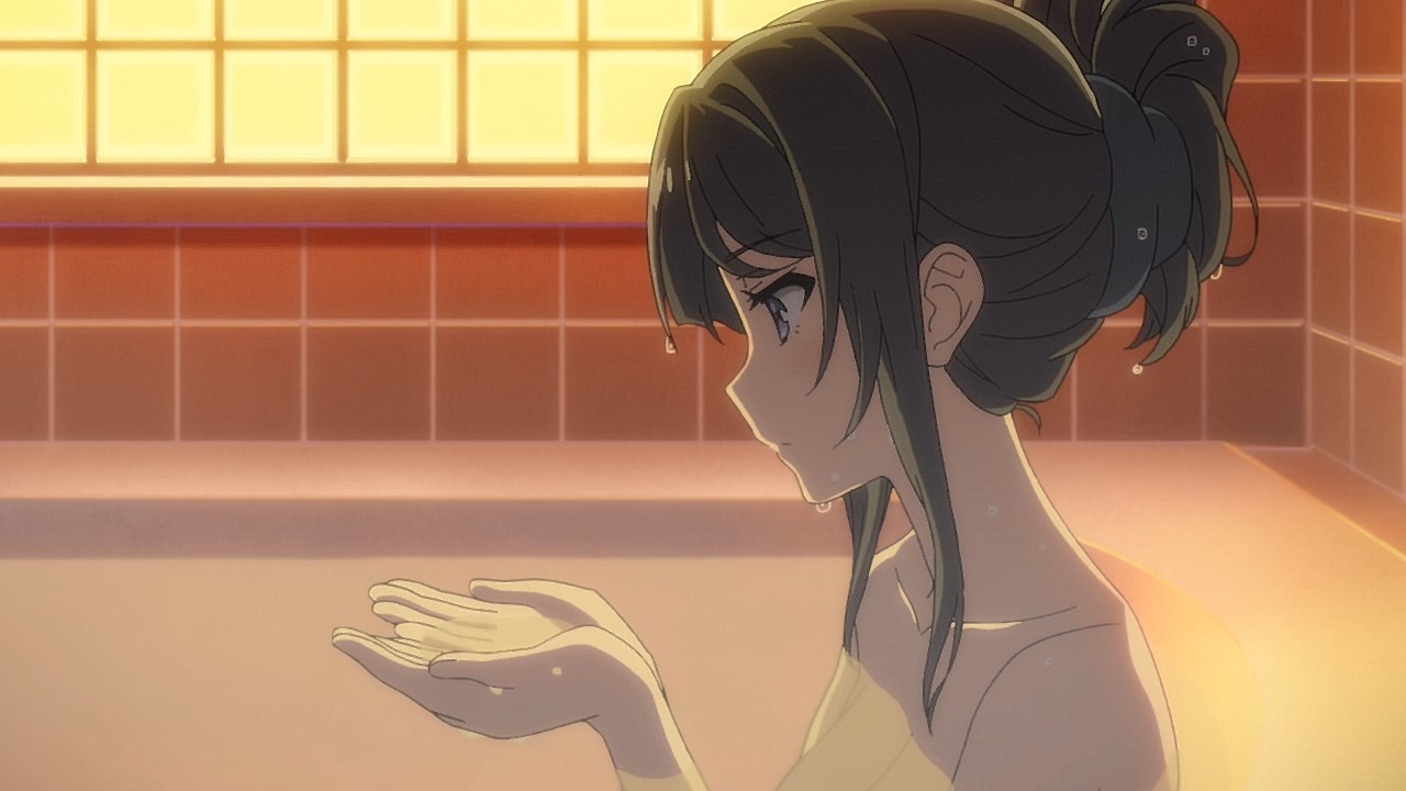 Seishun Buta Yarou Wa Bunny Girl Senpai No Yume Wo Minai Wiki Wallpapers