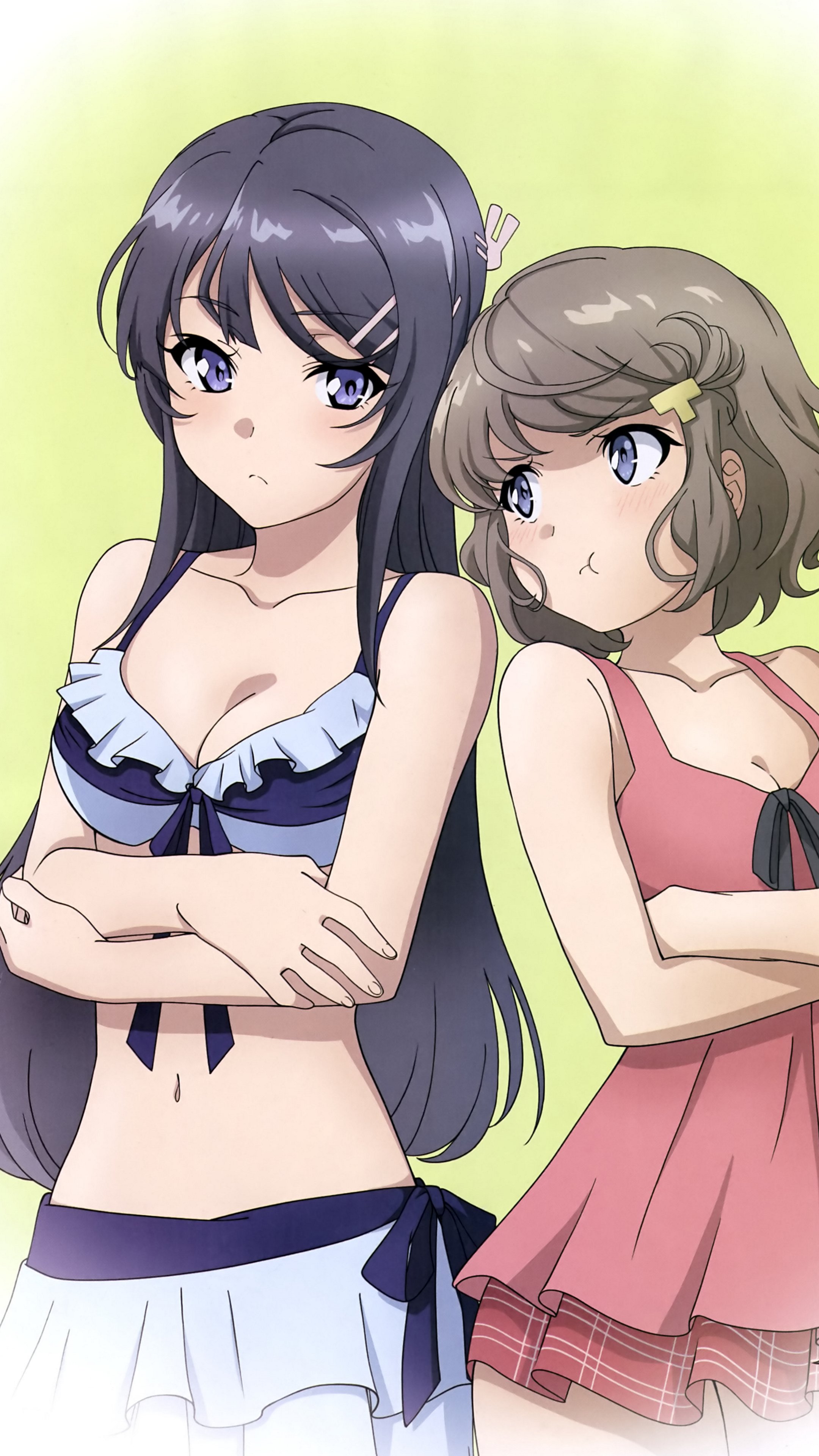 Seishun Buta Yarou Wa Bunny Girl Senpai No Yume Wo Minai Wiki Wallpapers