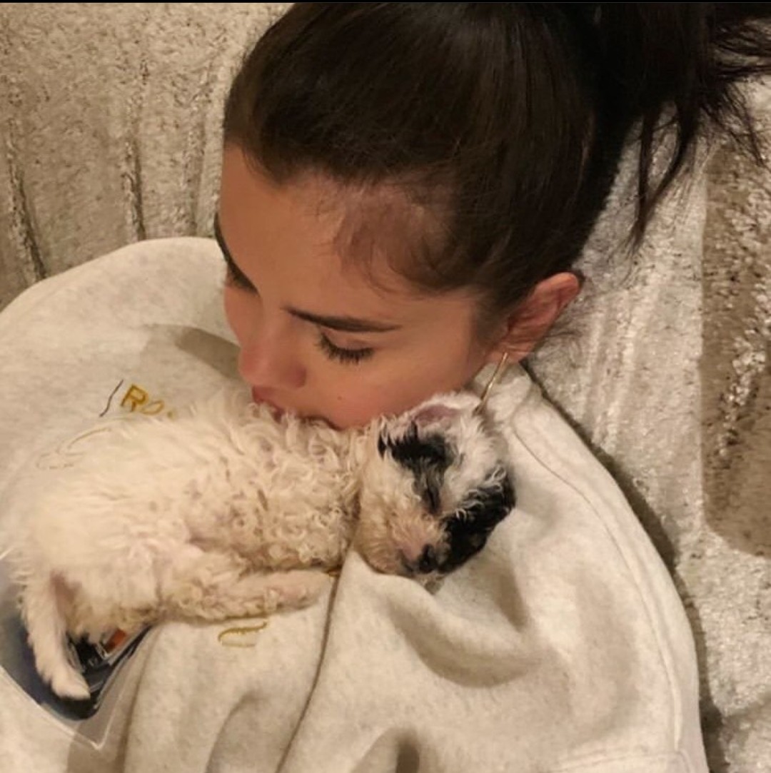 Selena Gomez with Dog Wallpapers