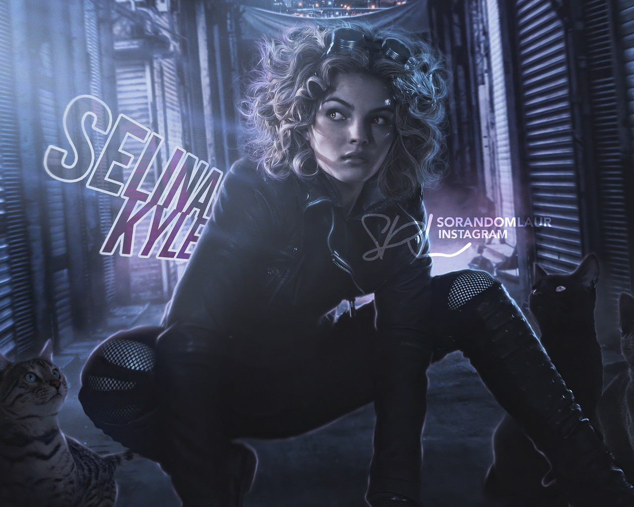 Selina Kyle Gotham Season 4 Wallpapers