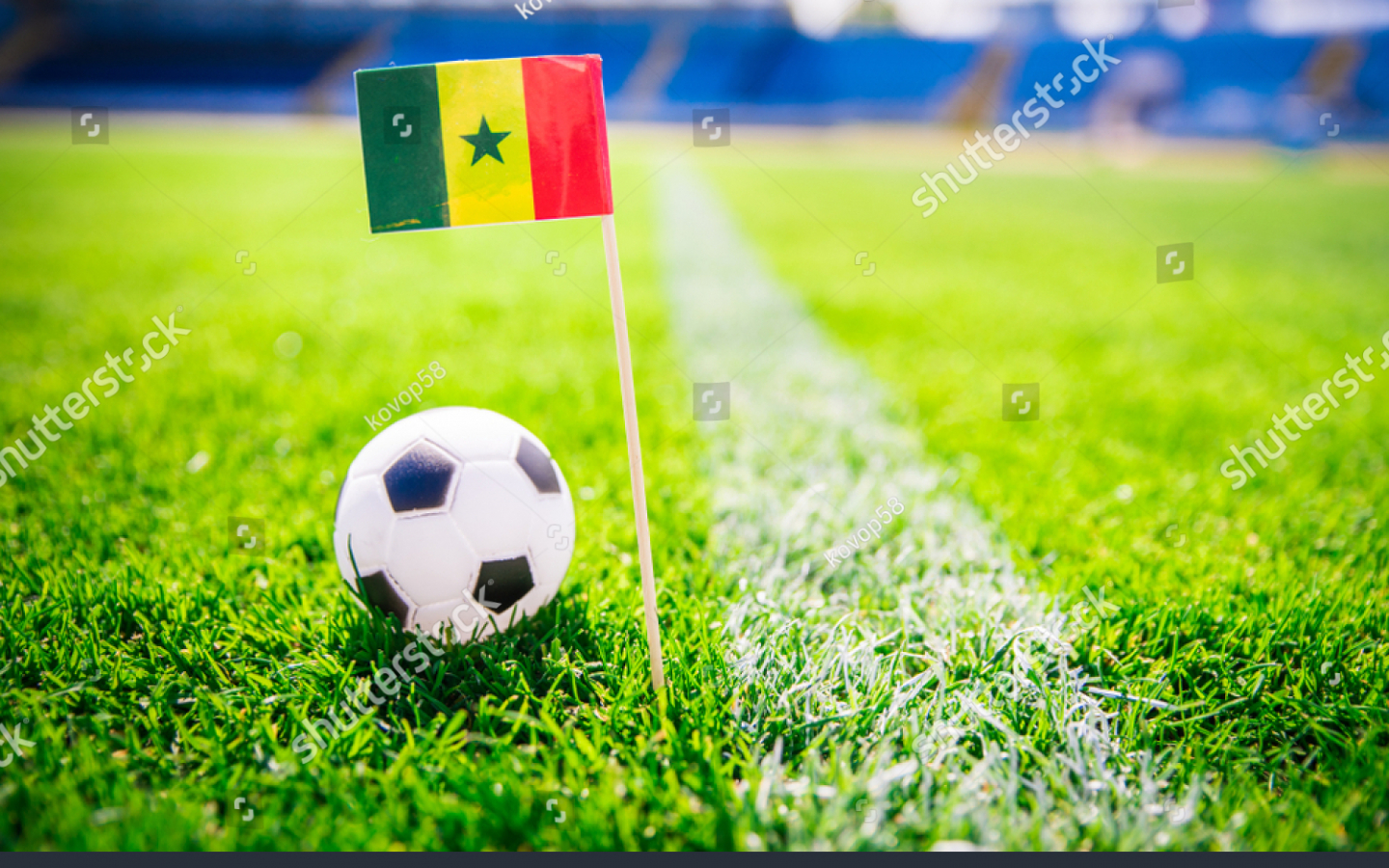 Senegal National Football Team Wallpapers