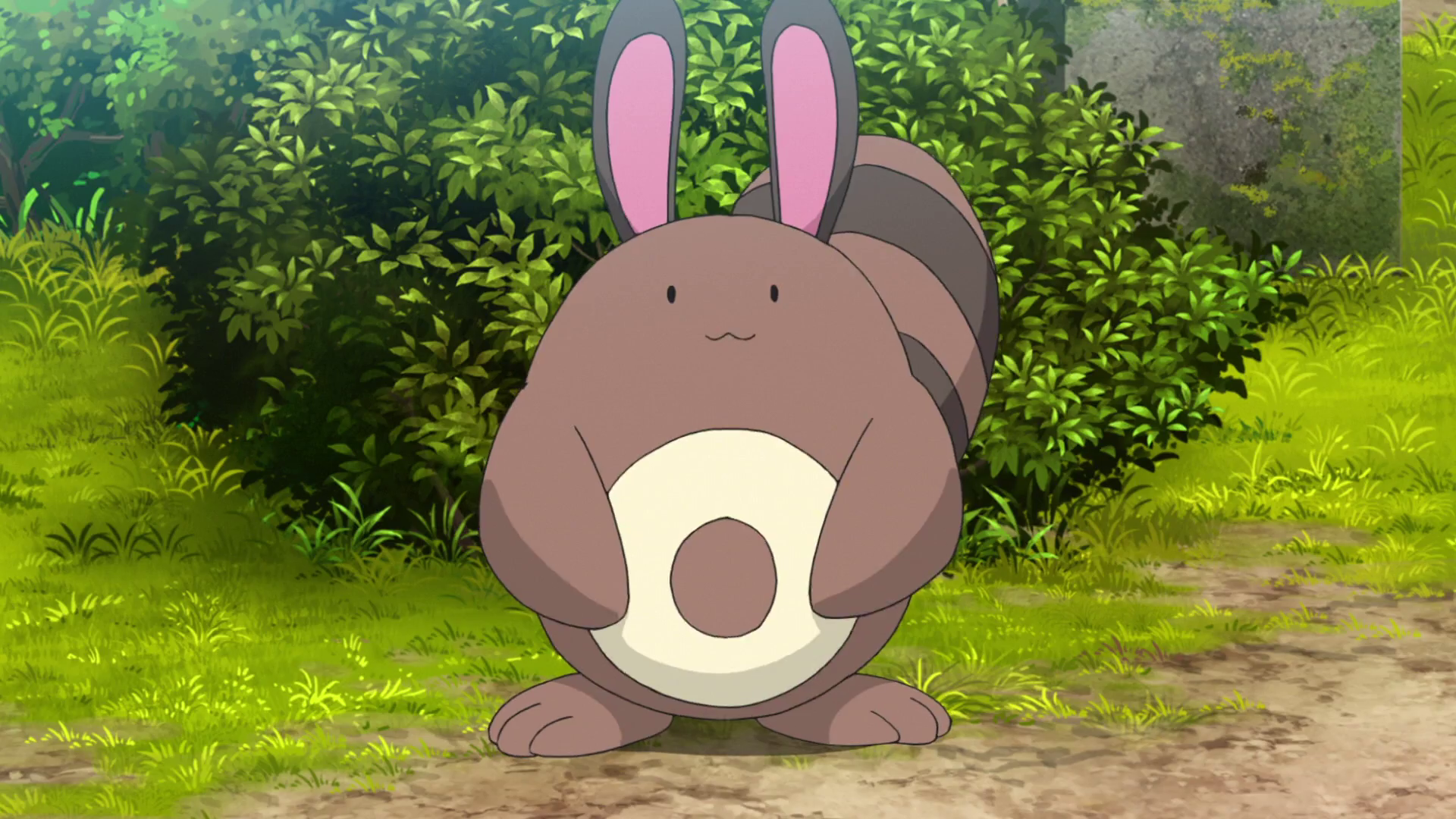 Sentret Hd Wallpapers