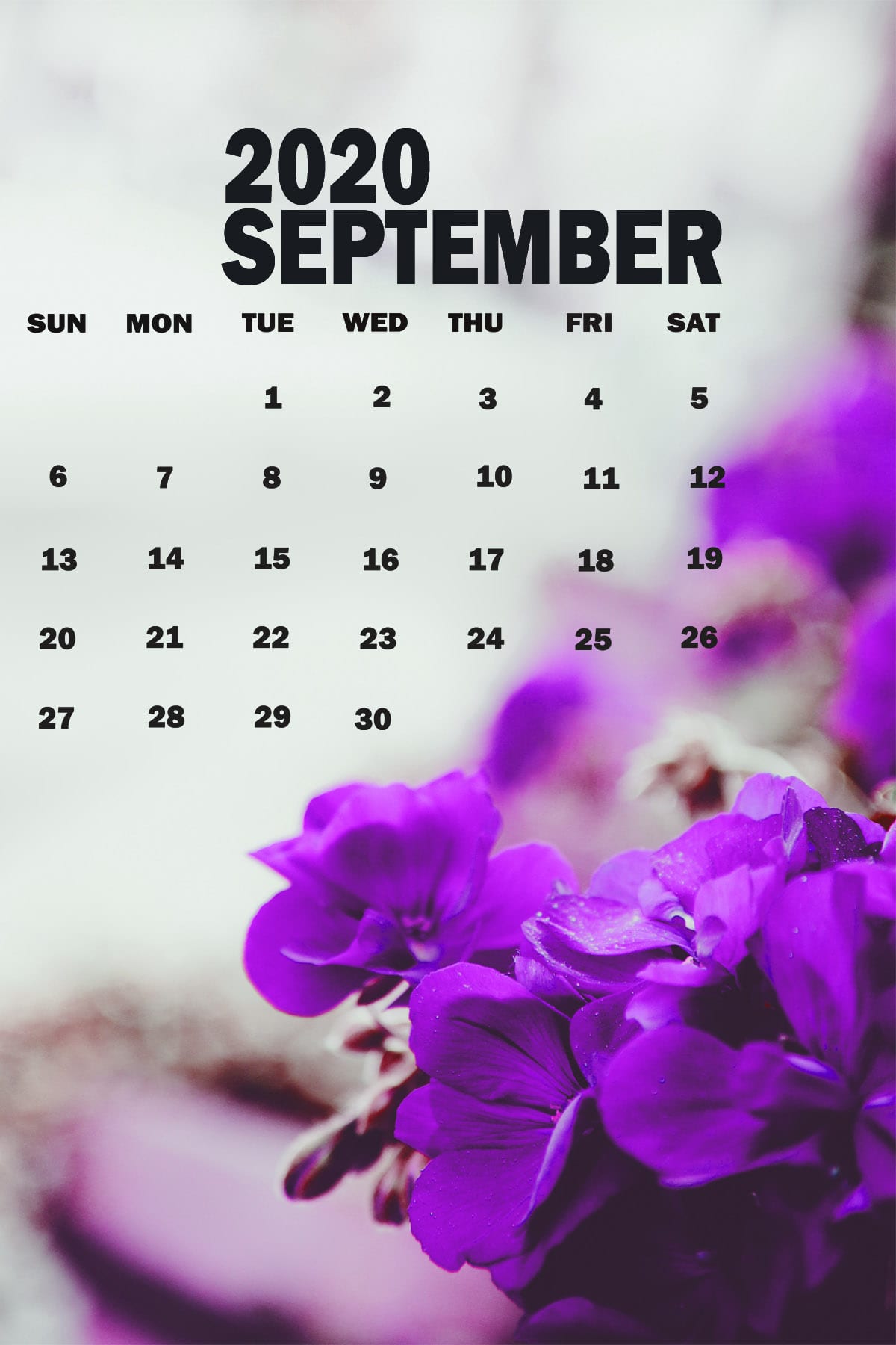 September 2020 Calendar Desktop Wallpapers