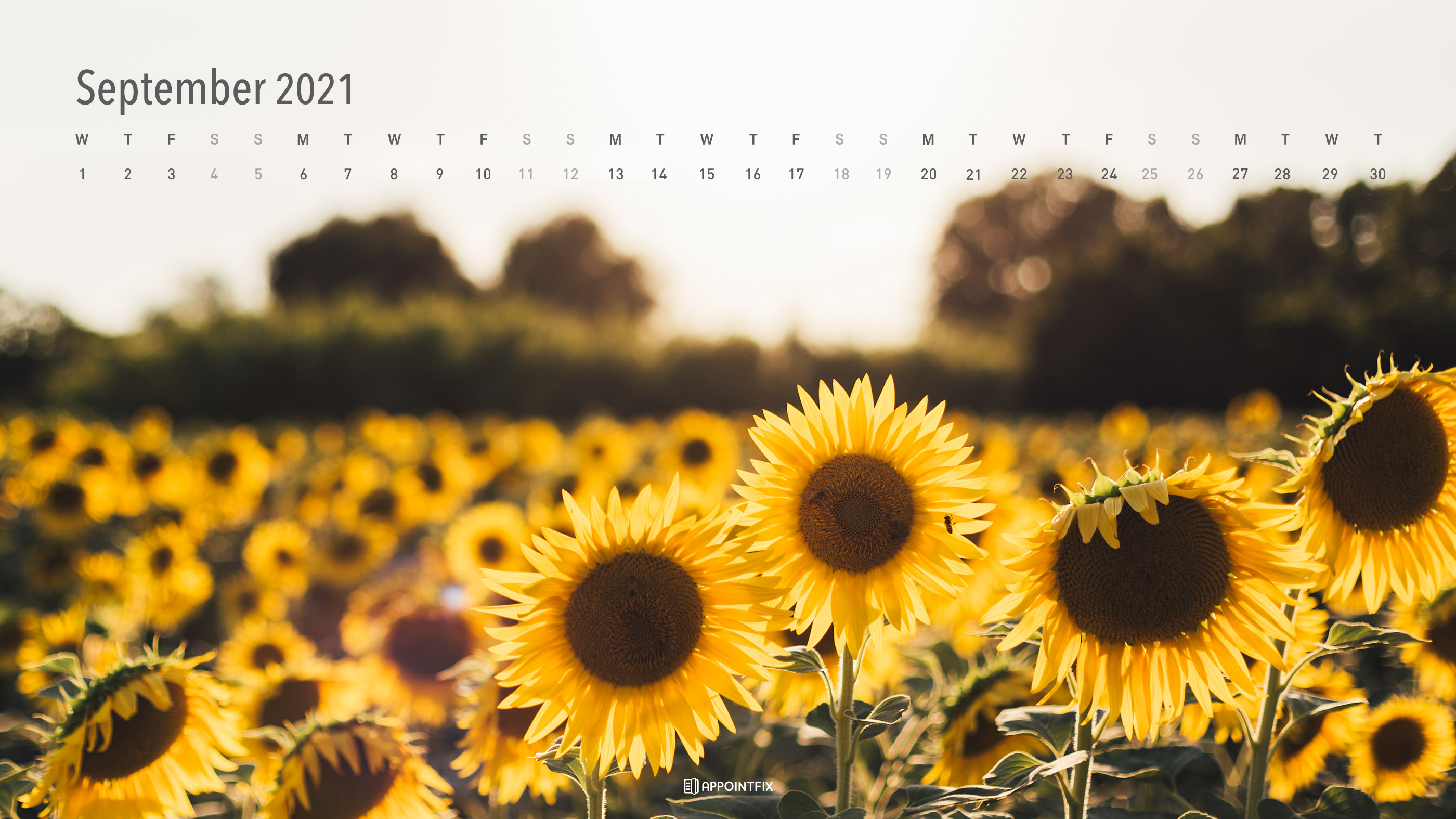 September 2021 Calendar Wallpapers