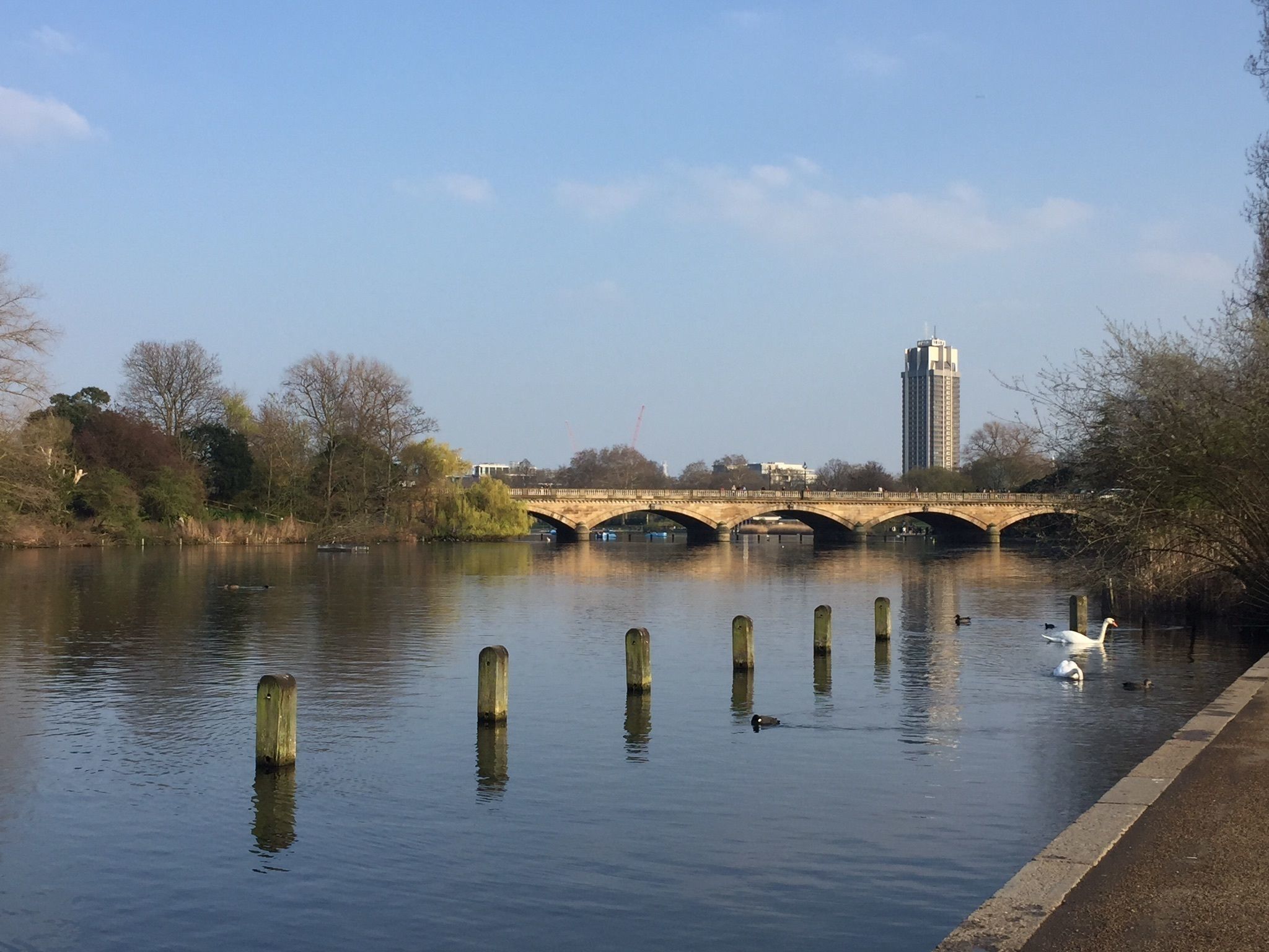 Serpentine Bridge Wallpapers