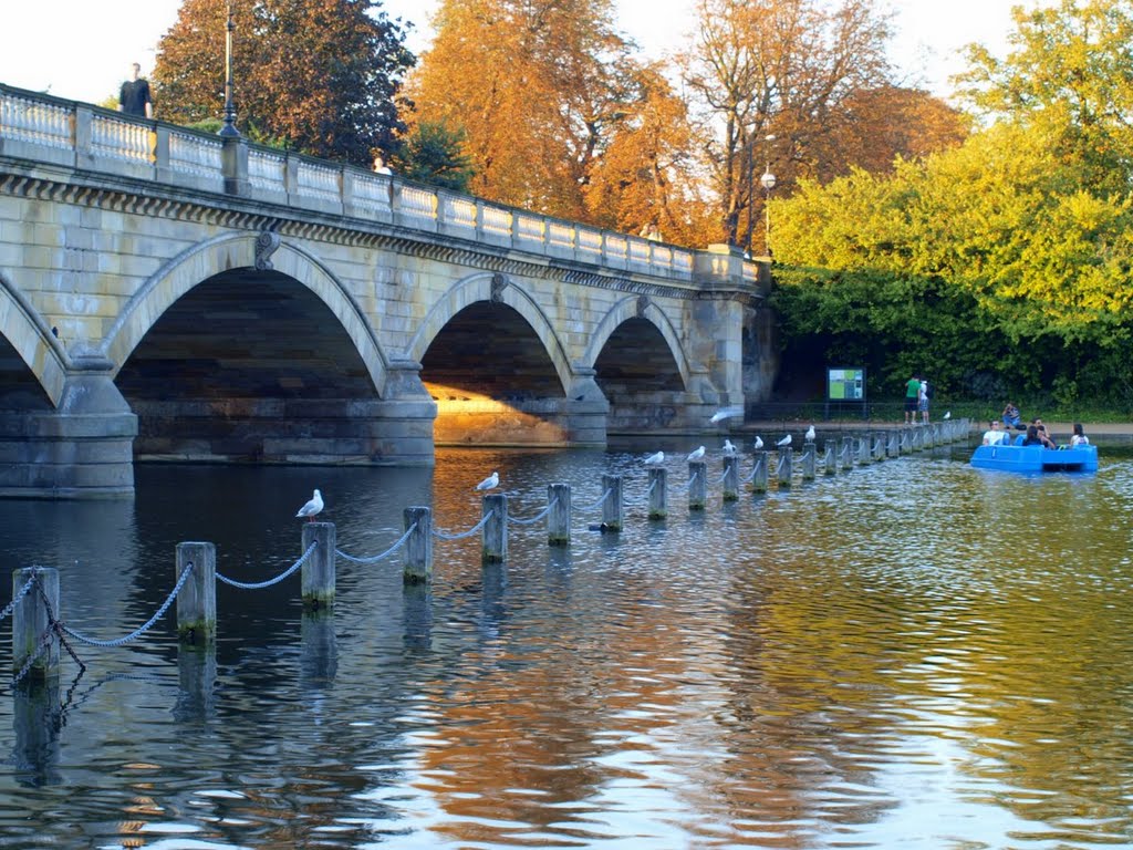 Serpentine Bridge Wallpapers