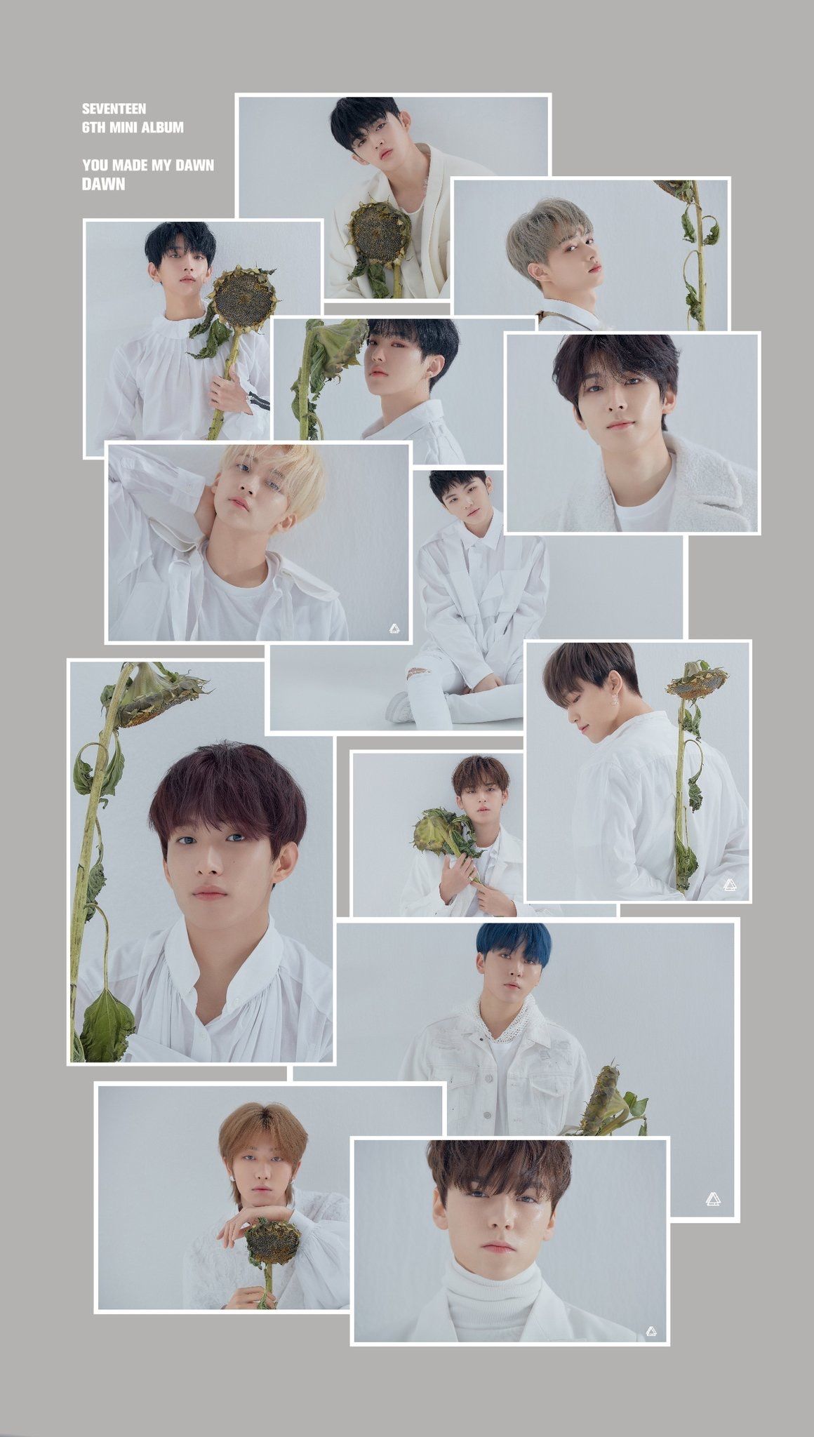 Seventeen Wallpapers