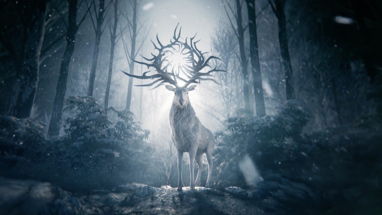 Shadow And Bone Wallpapers