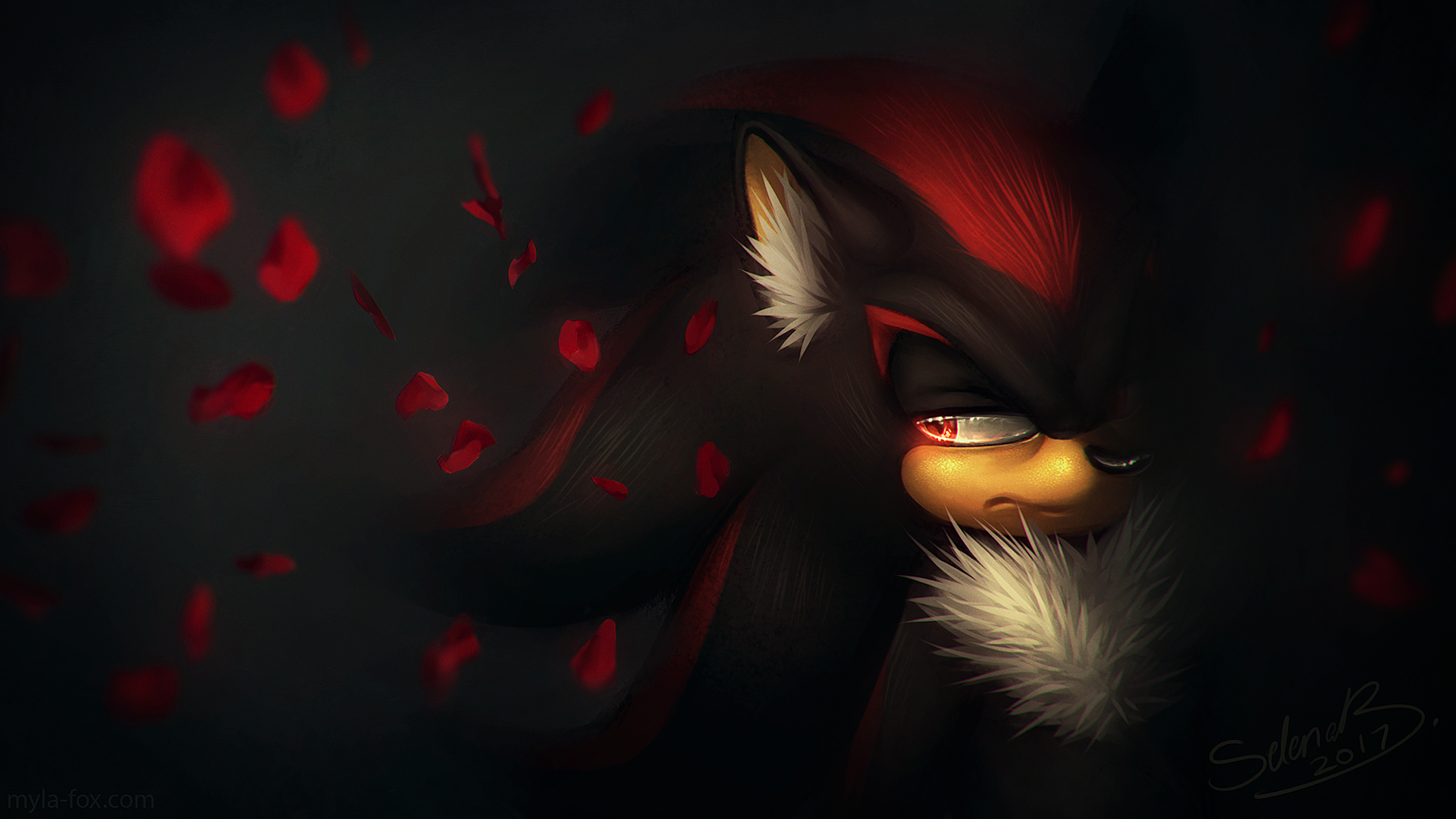 Shadow The Hedgehog Fireart Wallpapers