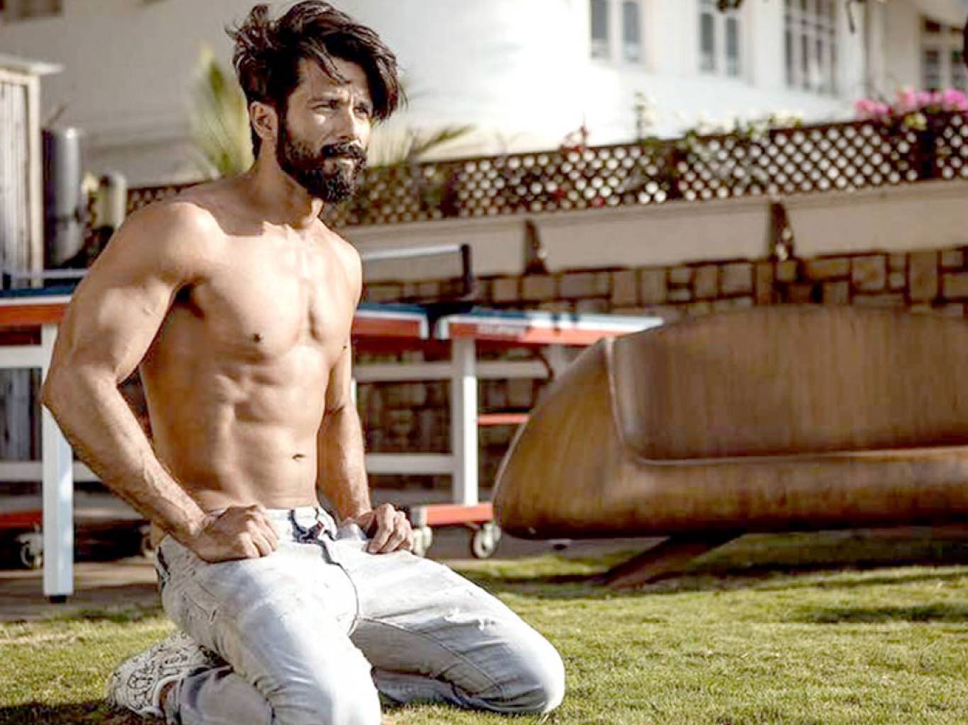 Shahid Kapoor Wallpapers