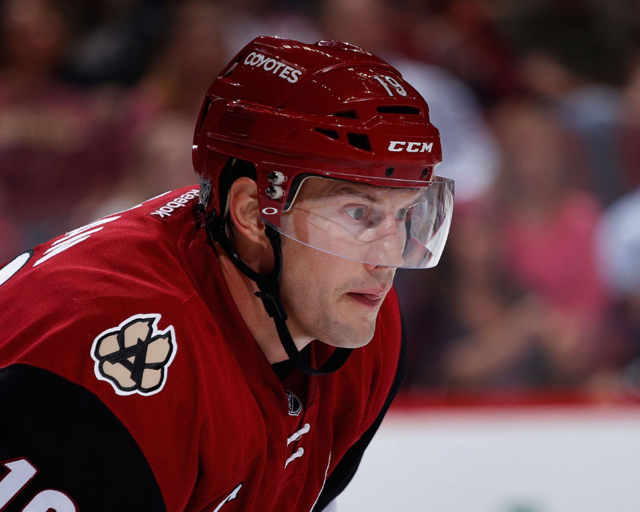 Shane Doan Wallpapers