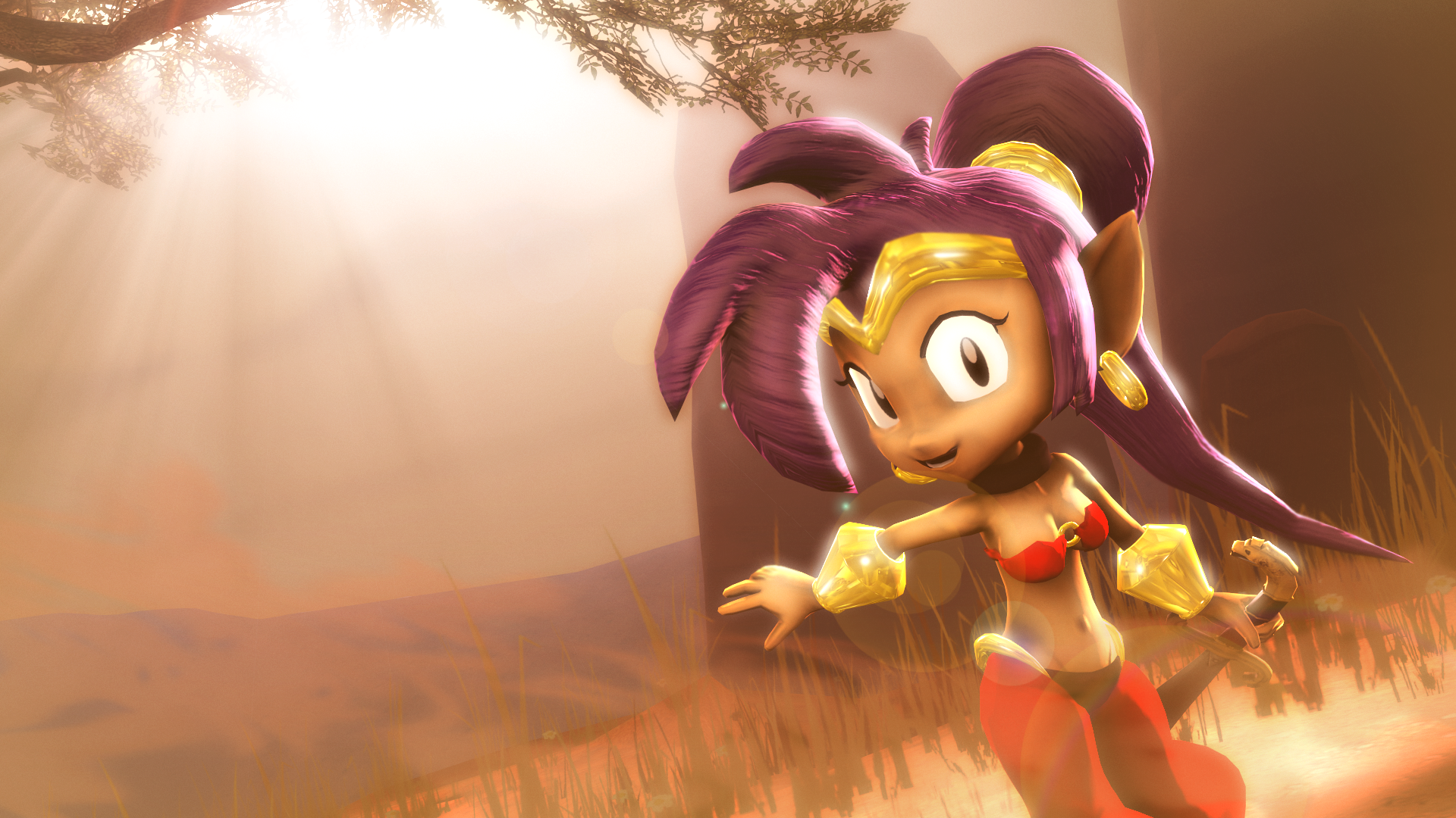 Shantae: Half-Genie Hero Wallpapers