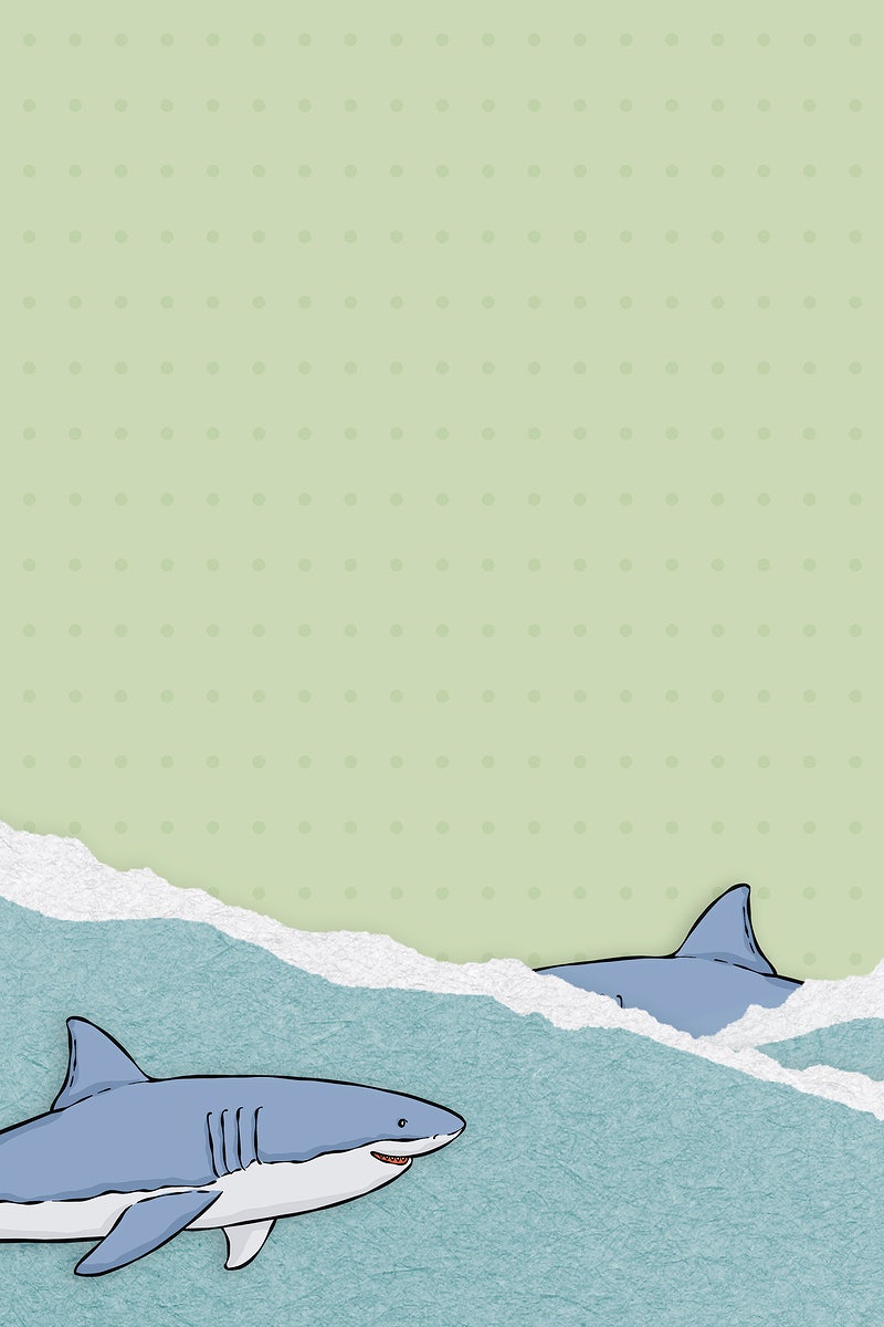 Shark Aesthetic Wallpapers