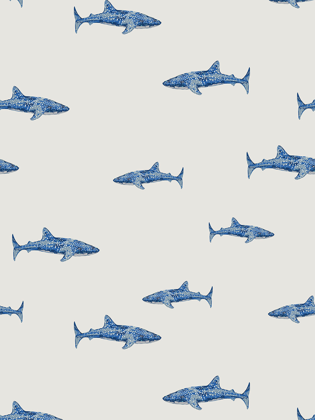 Shark Aesthetic Wallpapers