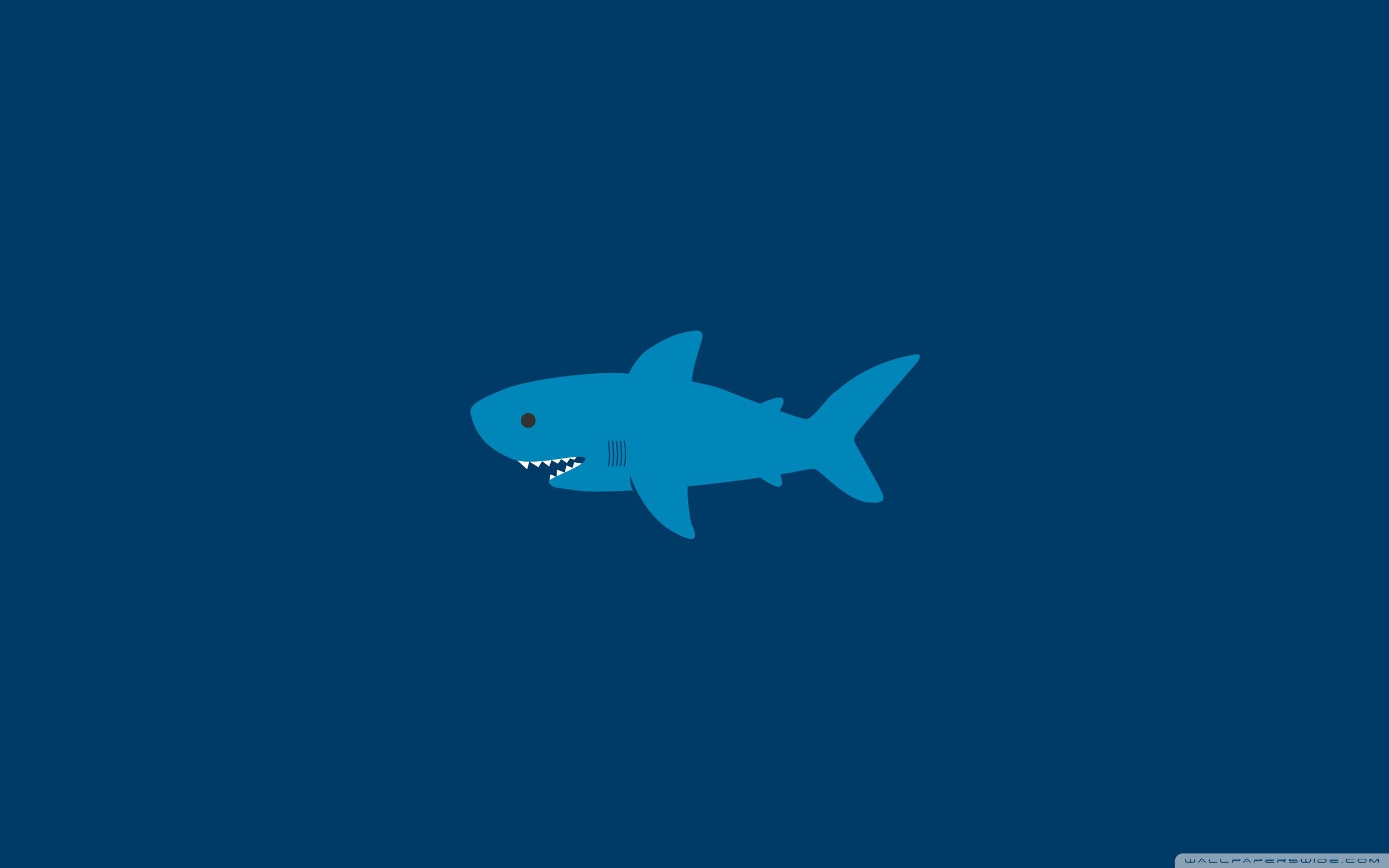 Shark Aesthetic Wallpapers