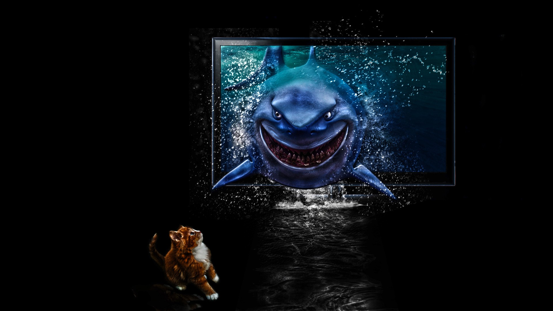 Shark From Nemo Wallpapers