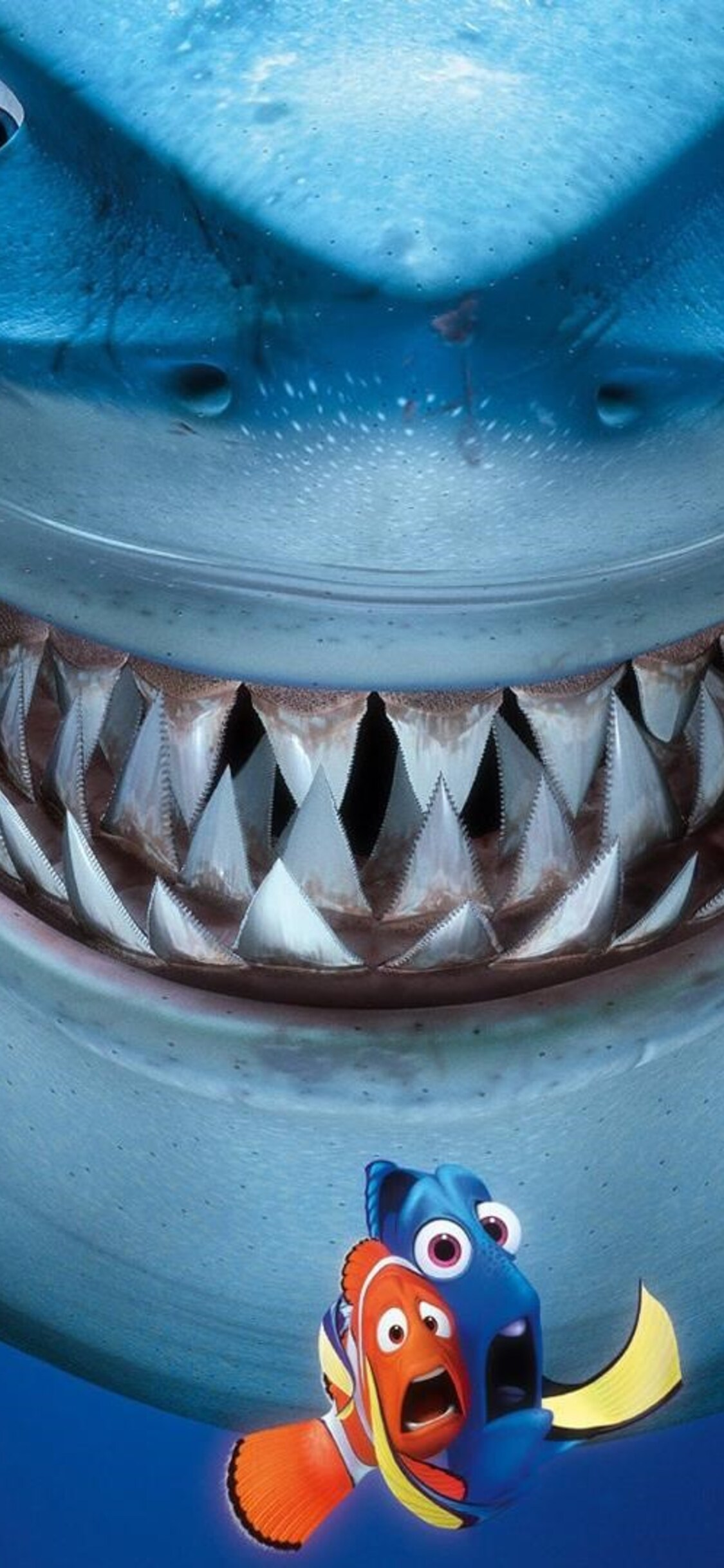 Shark From Nemo Wallpapers