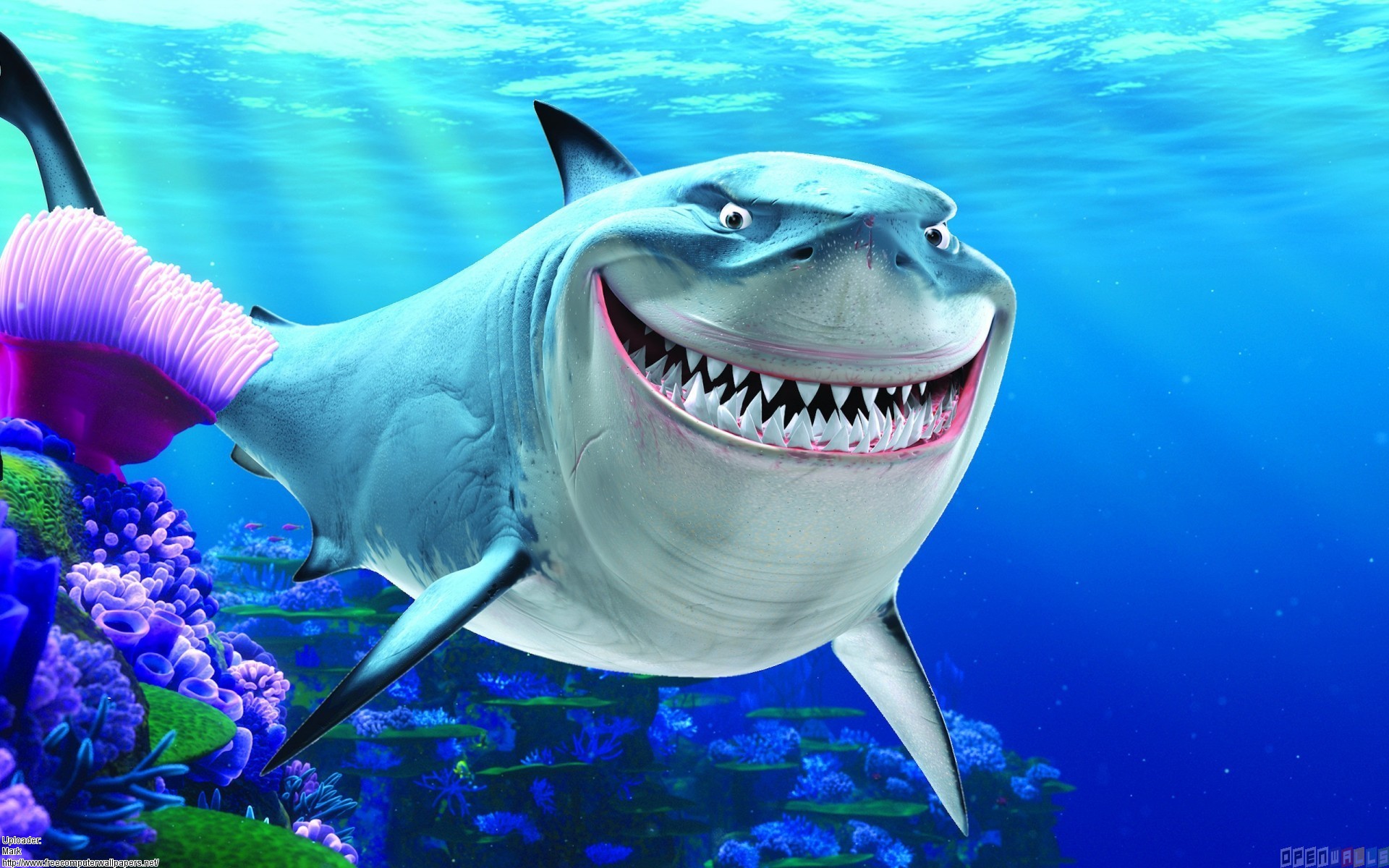 Shark From Nemo Wallpapers