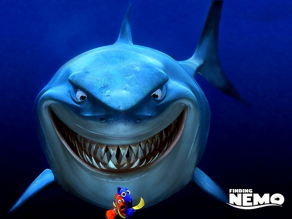 Shark From Nemo Wallpapers