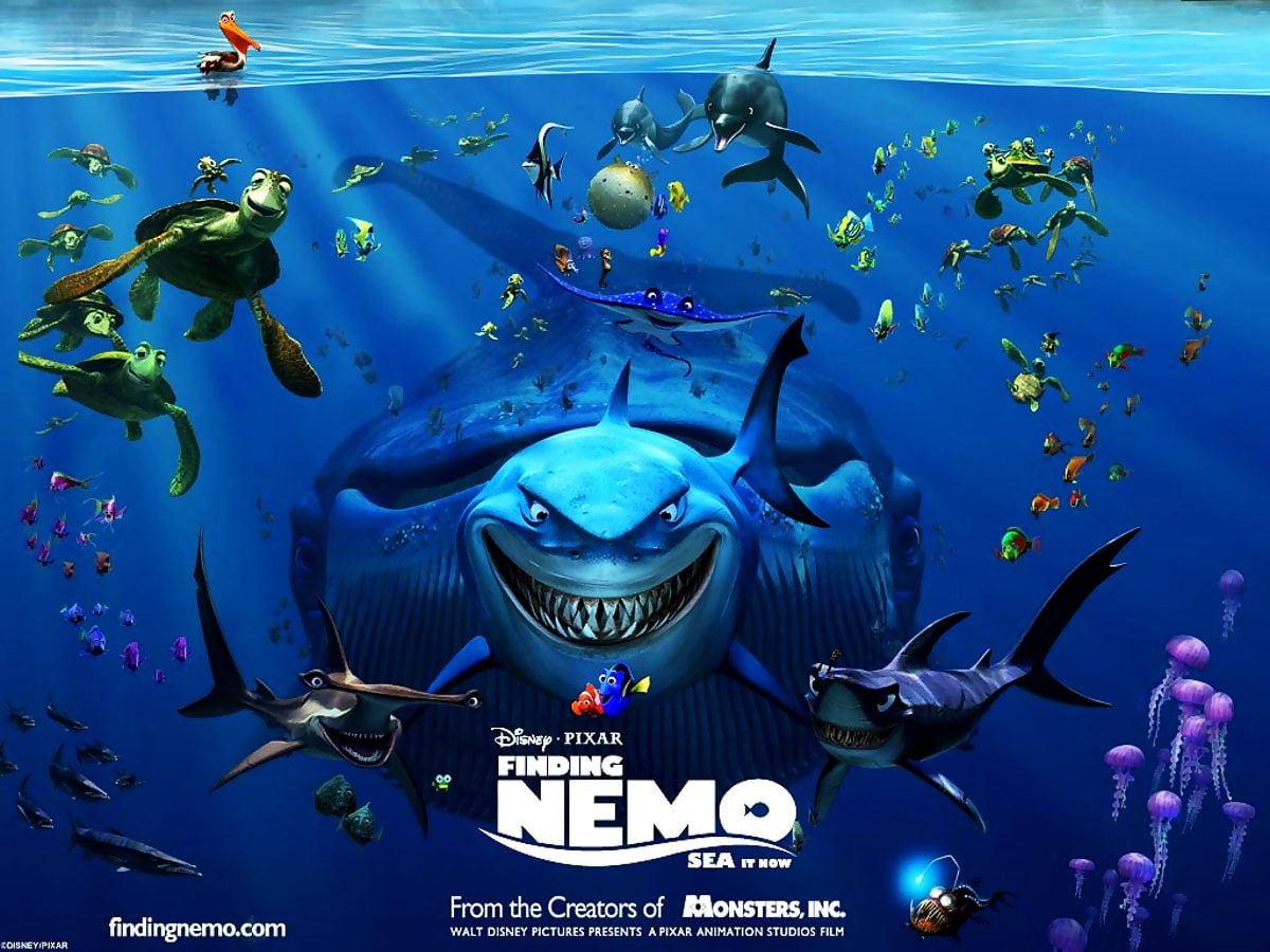 Shark From Nemo Wallpapers